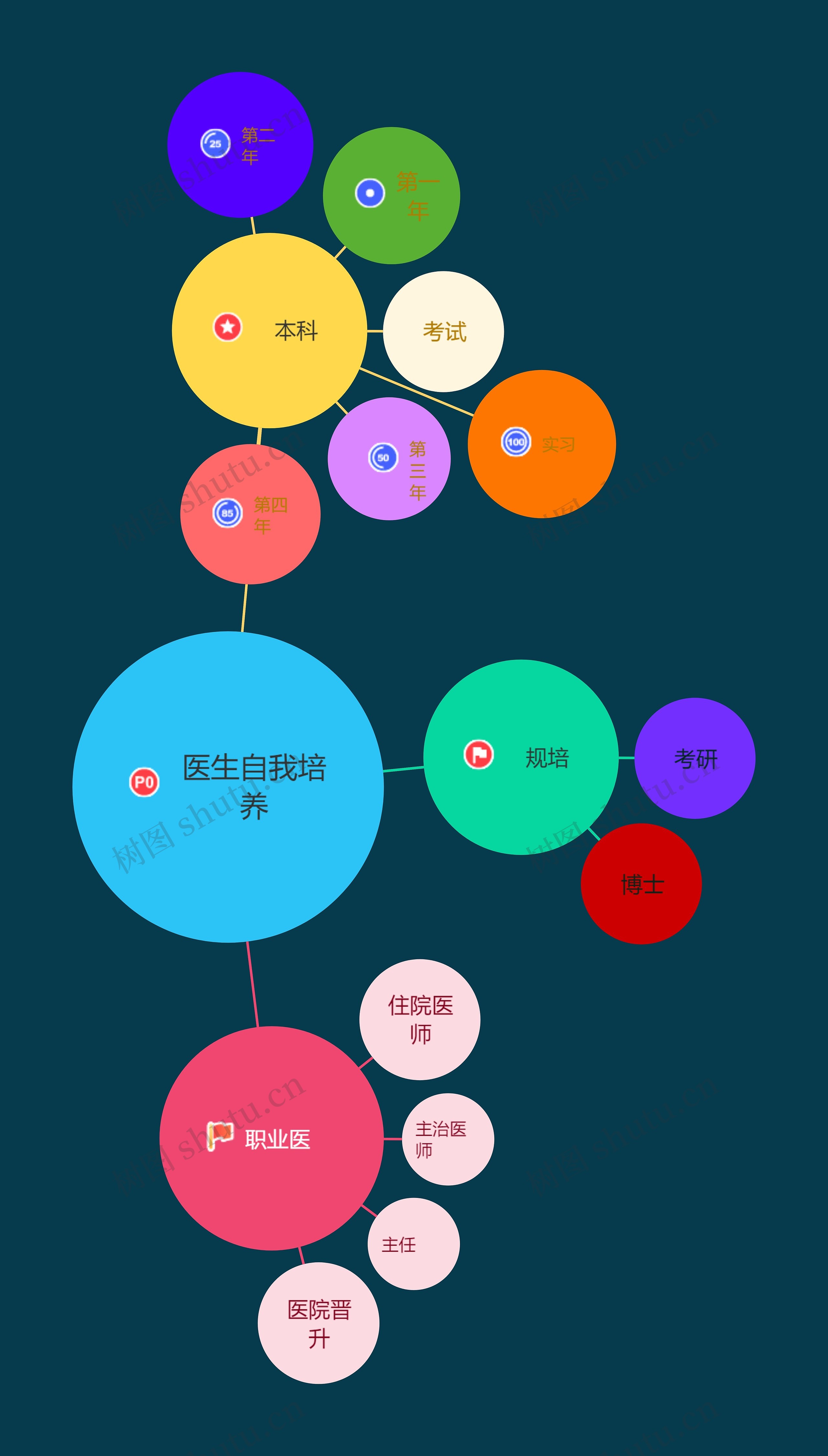 医生自我培养计划表模板思维导图