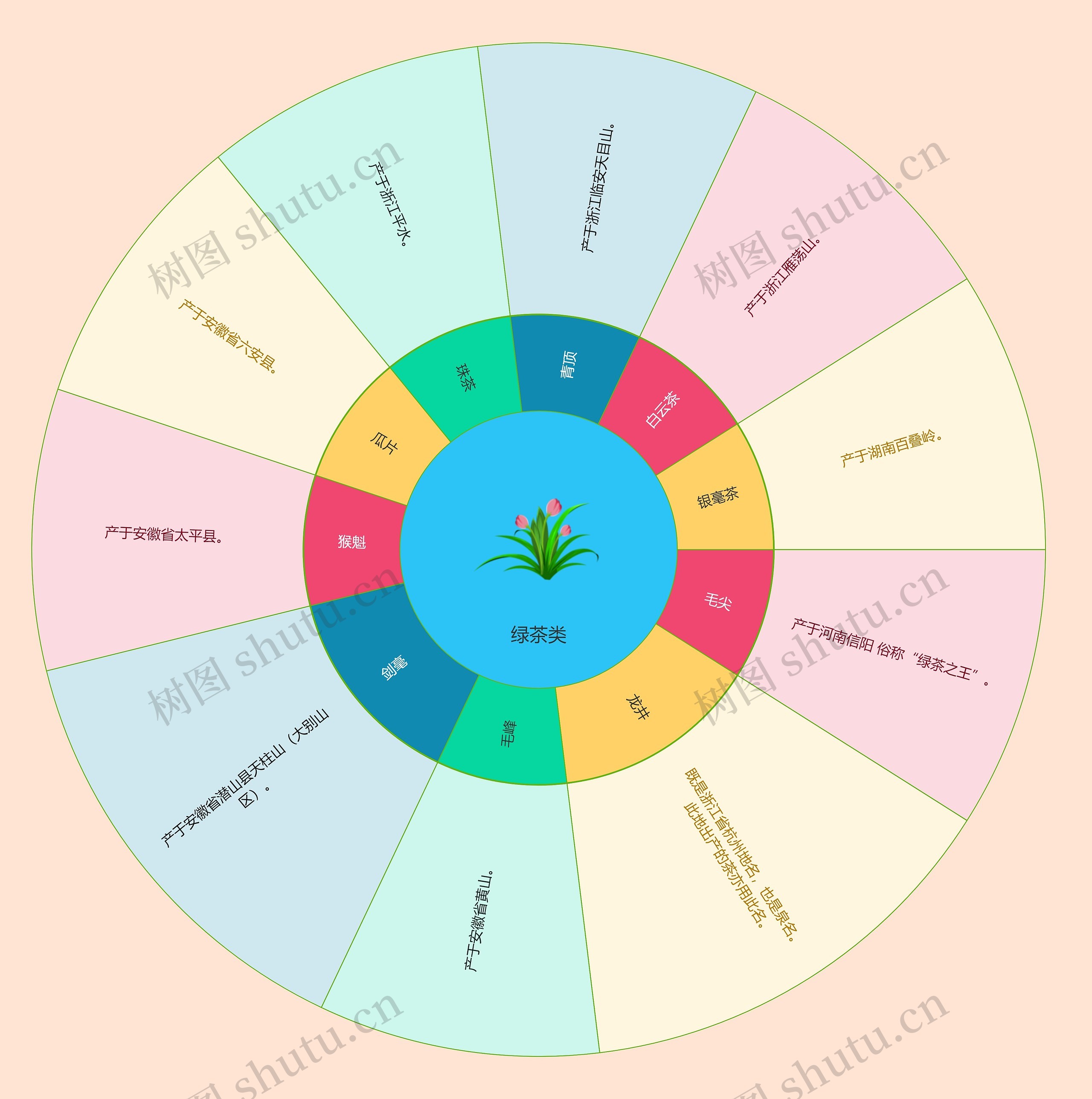 茶文化绿茶类扇形图
