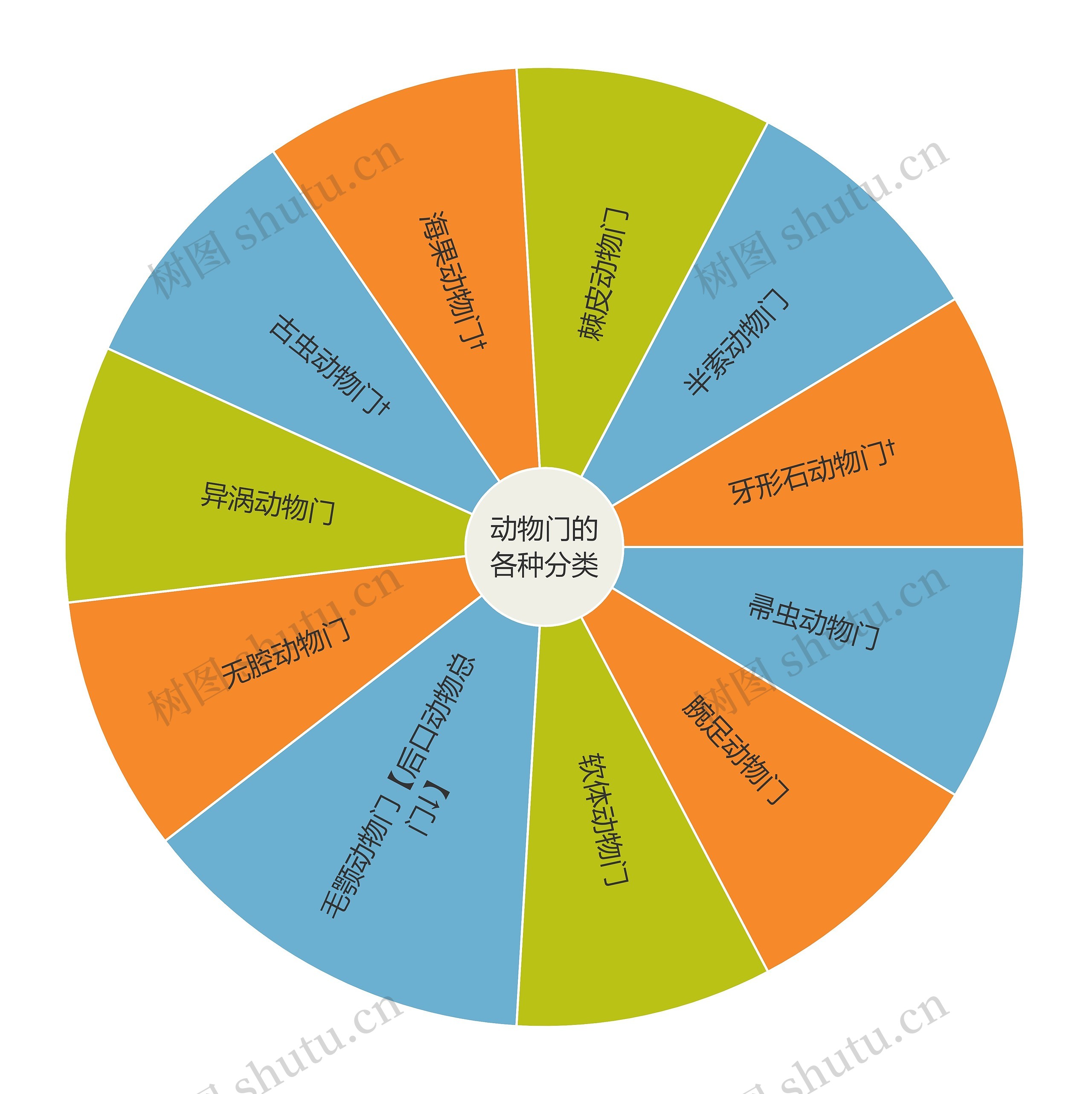 动物门的各种分类思维导图
