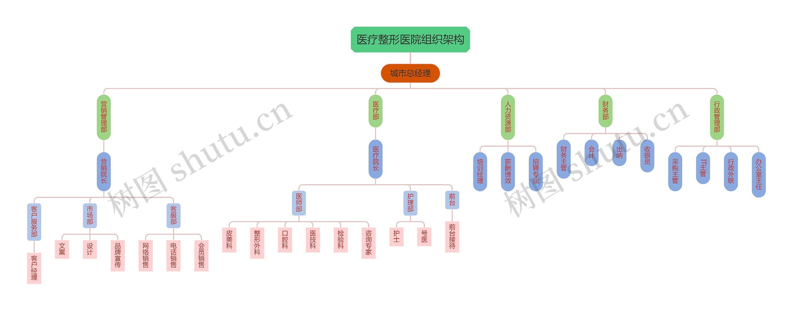 医疗整形医院组织架构思维导图