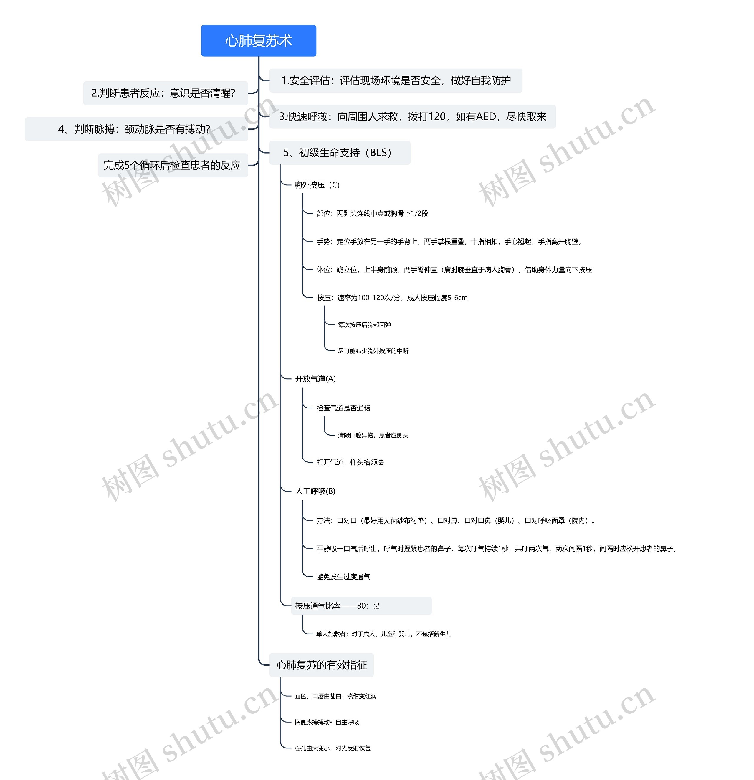 心肺复苏术思维导图