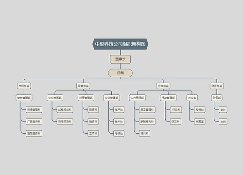 中型科技公司组织架构图