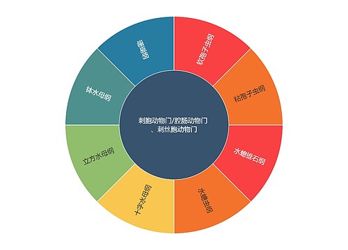 刺胞动物门/腔肠动物门 、刺丝胞动物的分类