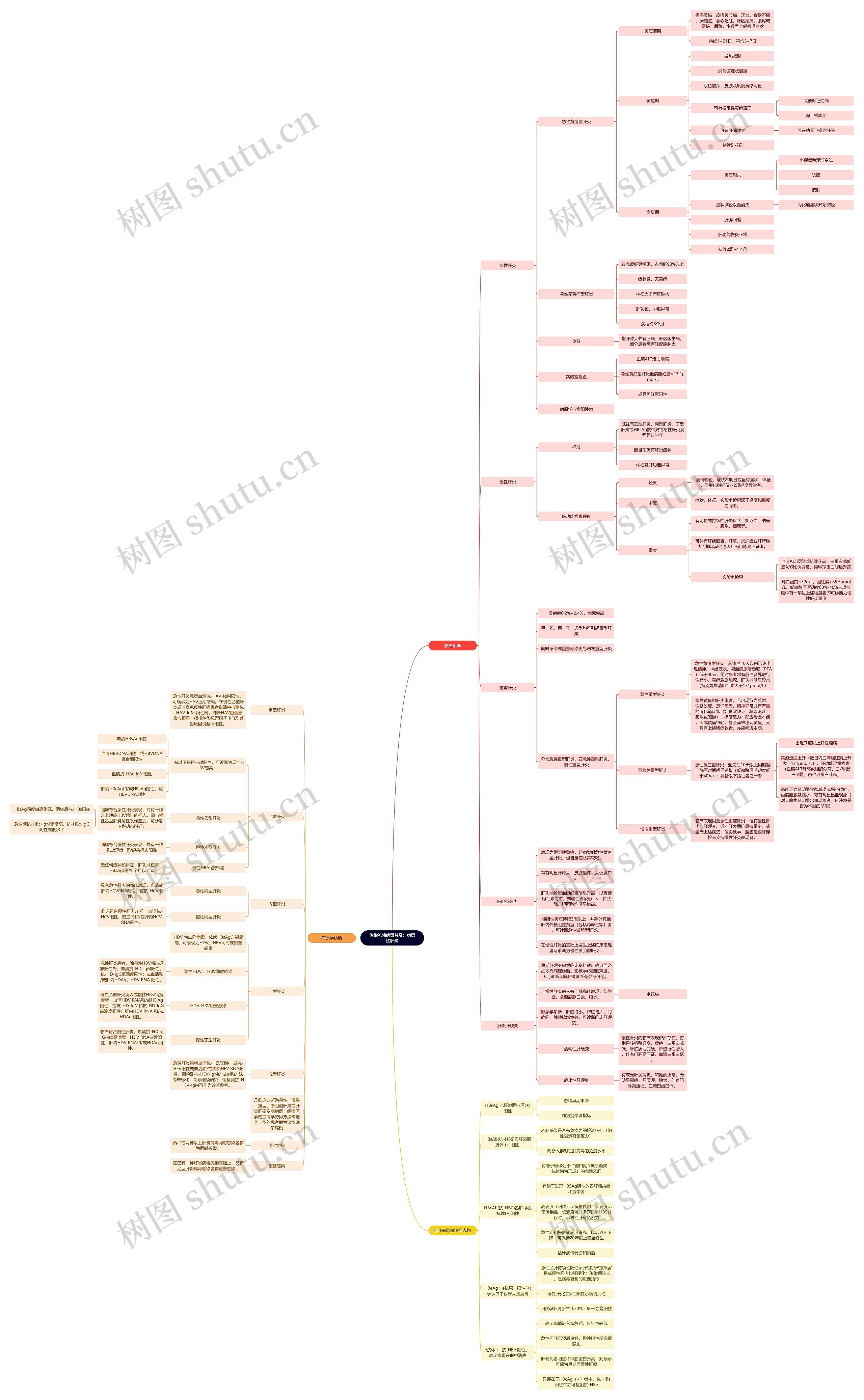 传染流感病毒普及：病毒性肝炎思维导图