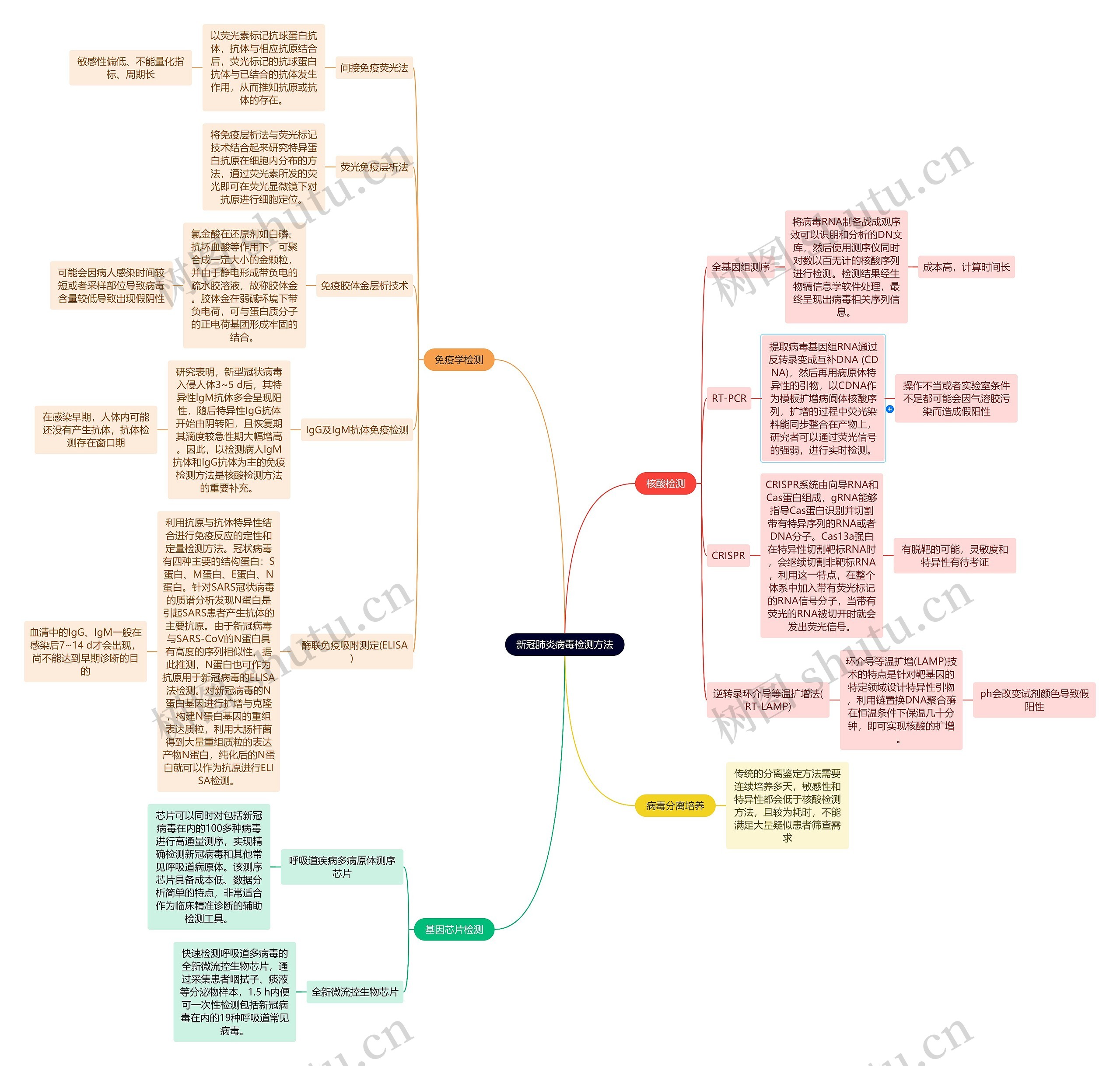 新冠肺炎病毒检测方法思维导图