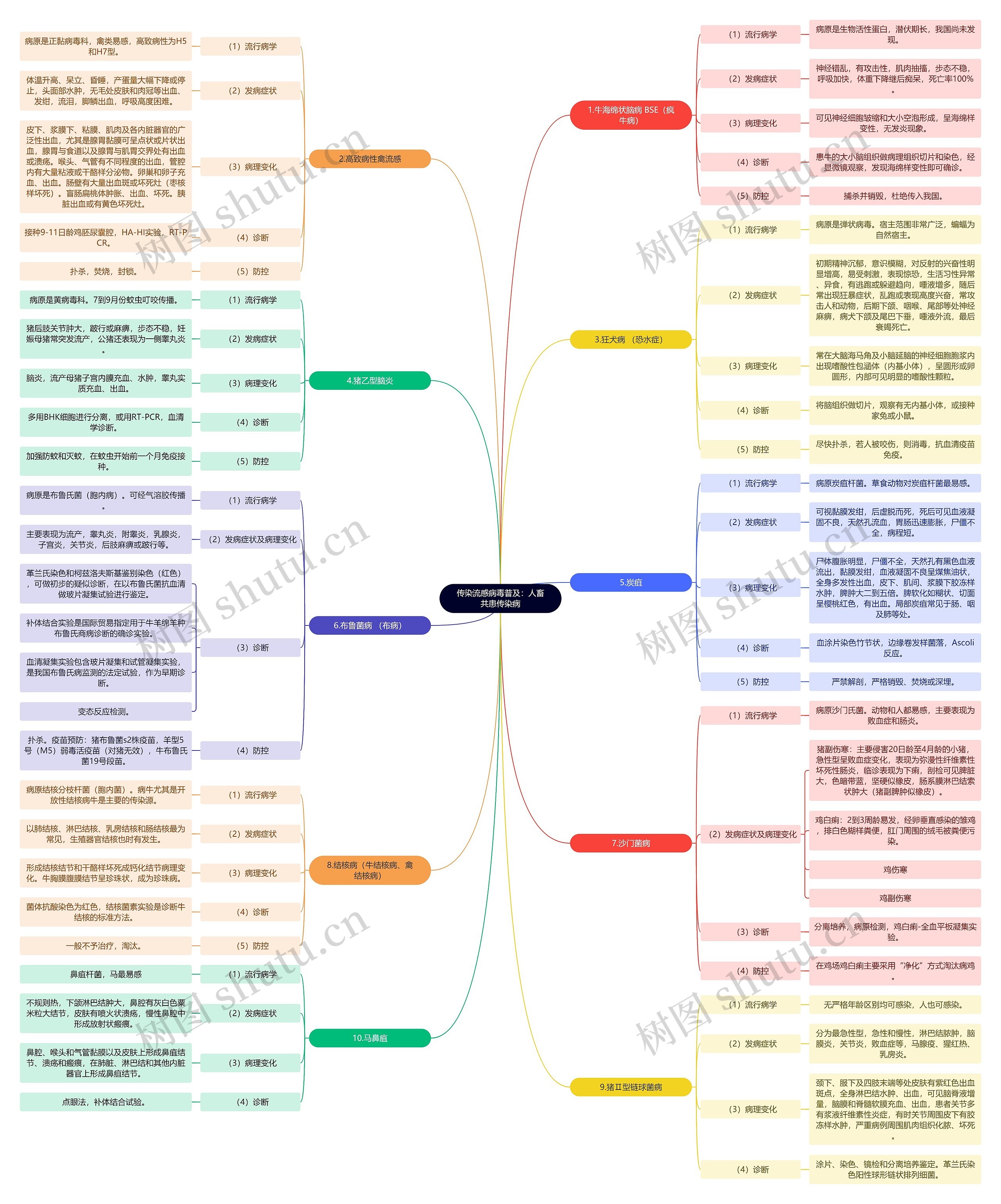 传染流感病毒普及：人畜共患传染病思维导图