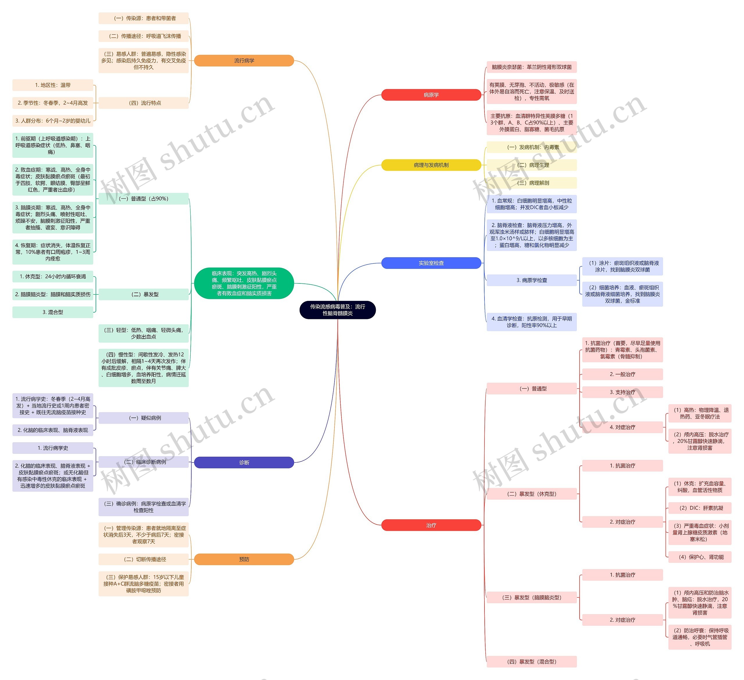 传染流感病毒普及：流行性脑脊髓膜炎思维导图