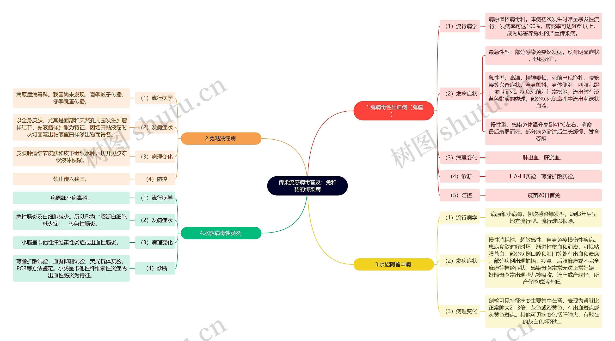 传染流感病毒普及：兔和貂的传染病思维导图