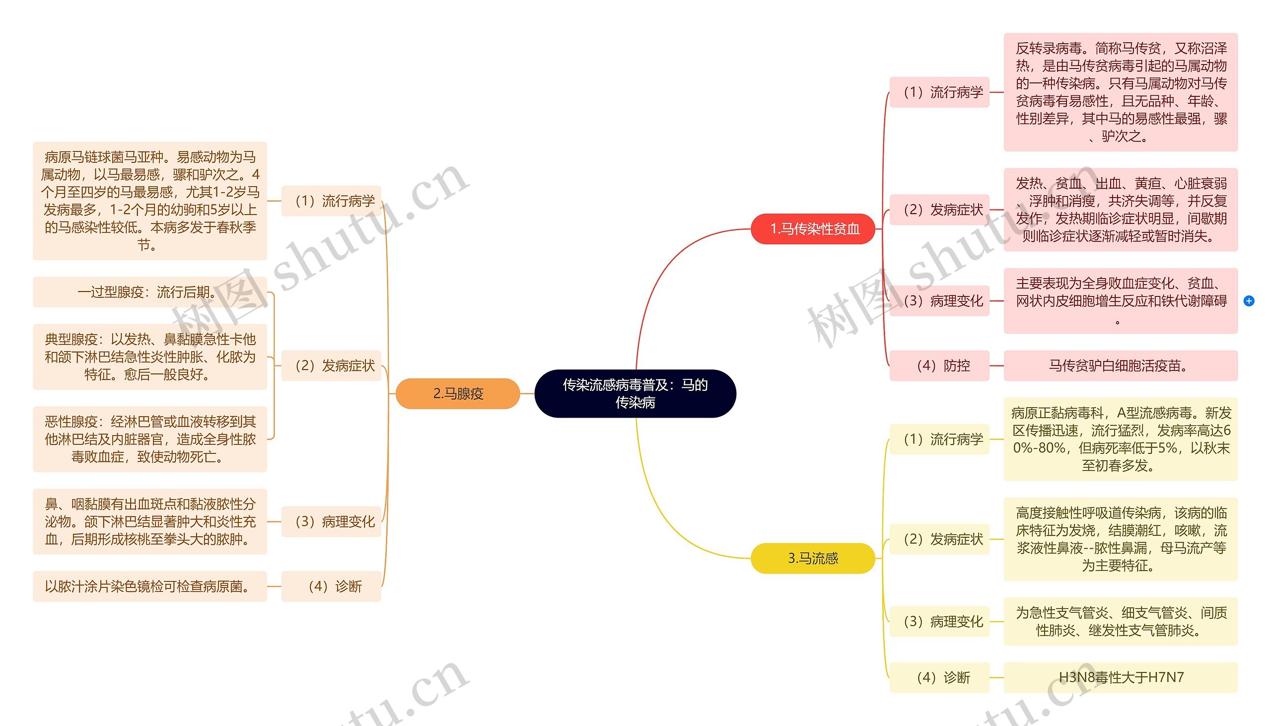 传染流感病毒普及:马的传染病思维导图高清图 传染流感病毒普及:马的传染病思维导图