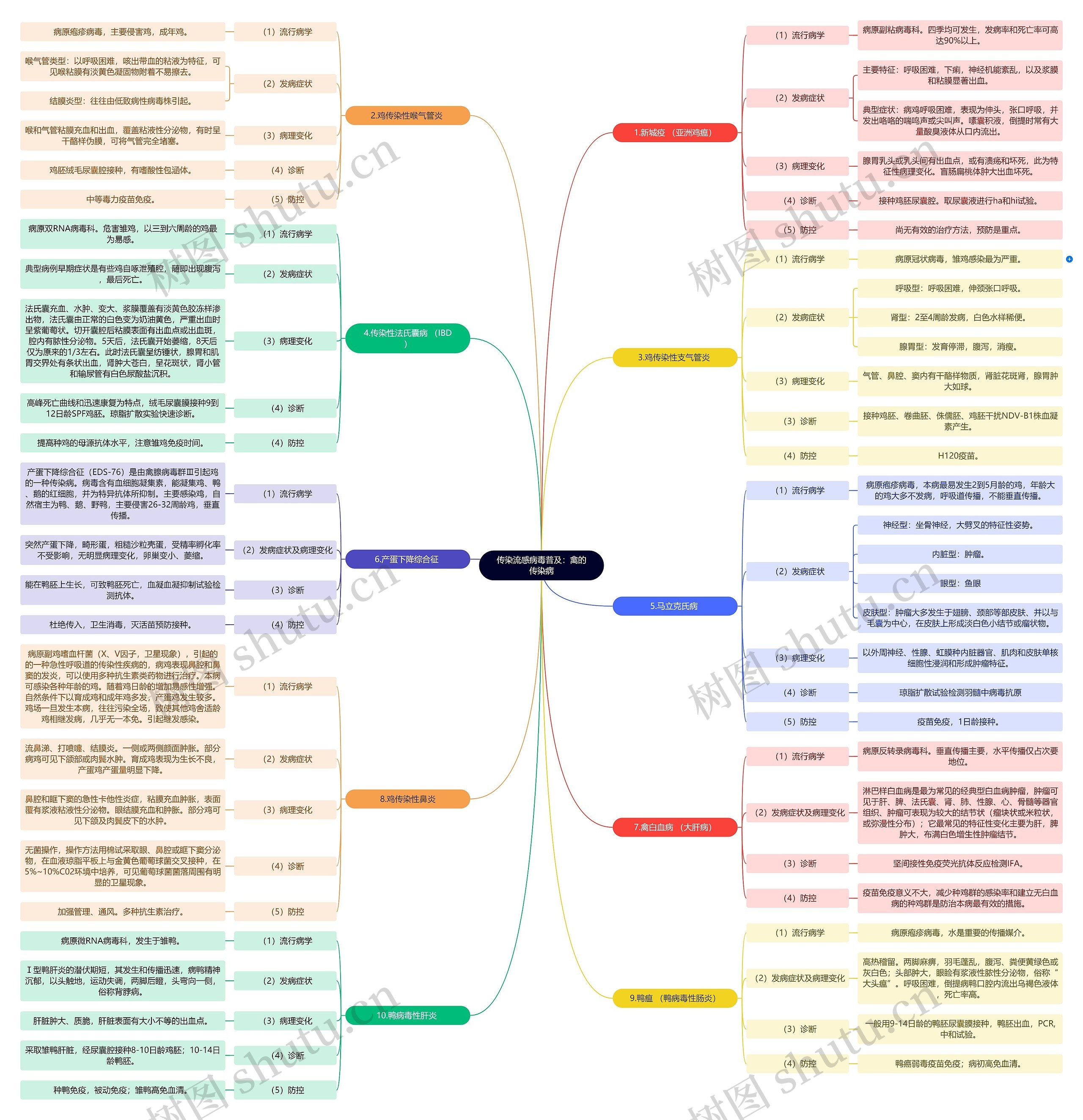传染流感病毒普及：禽的传染病思维导图