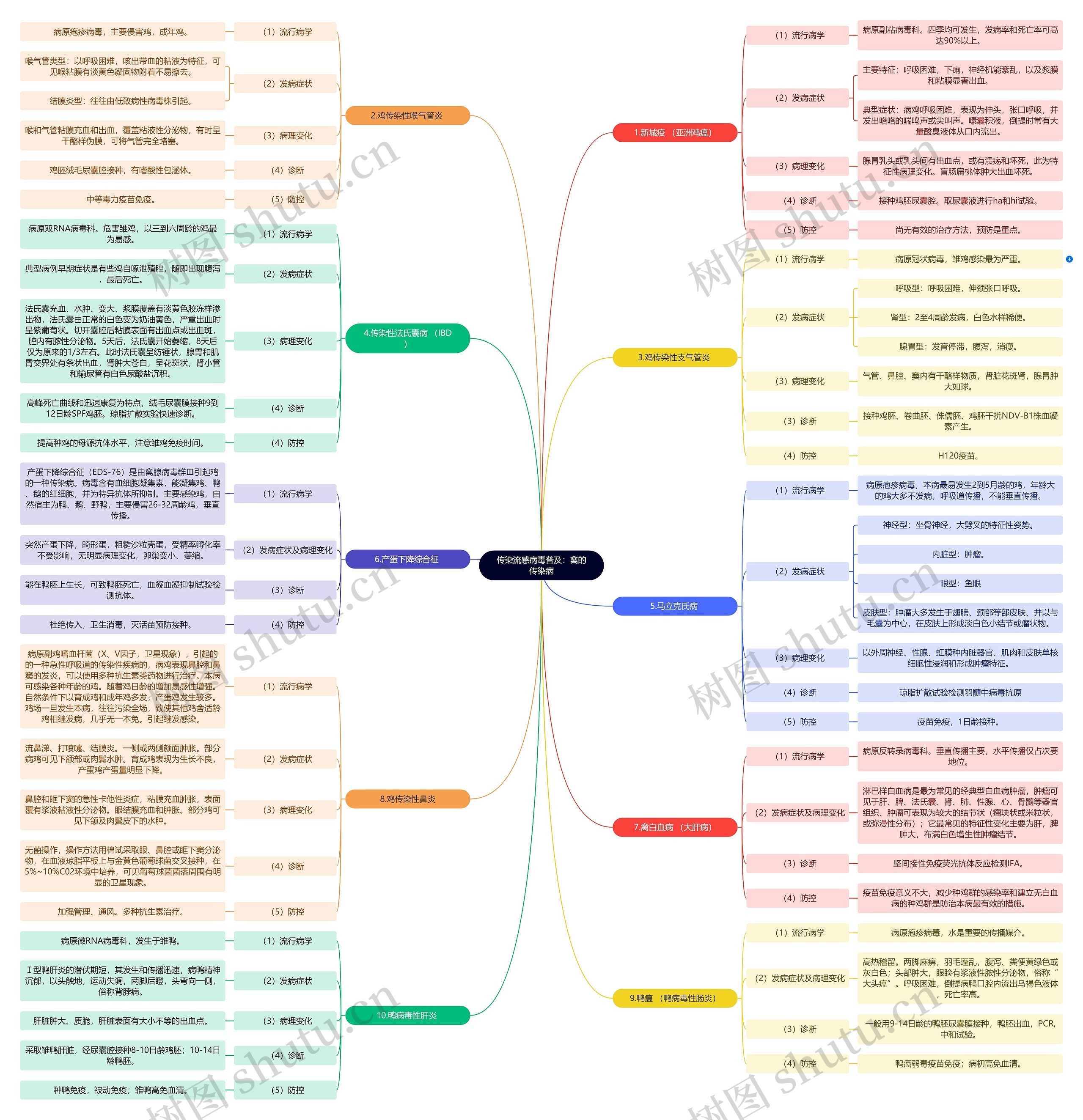 传染流感病毒普及:禽的传染病思维导图高清图 传染流感病毒普及:禽的传染病思维导图