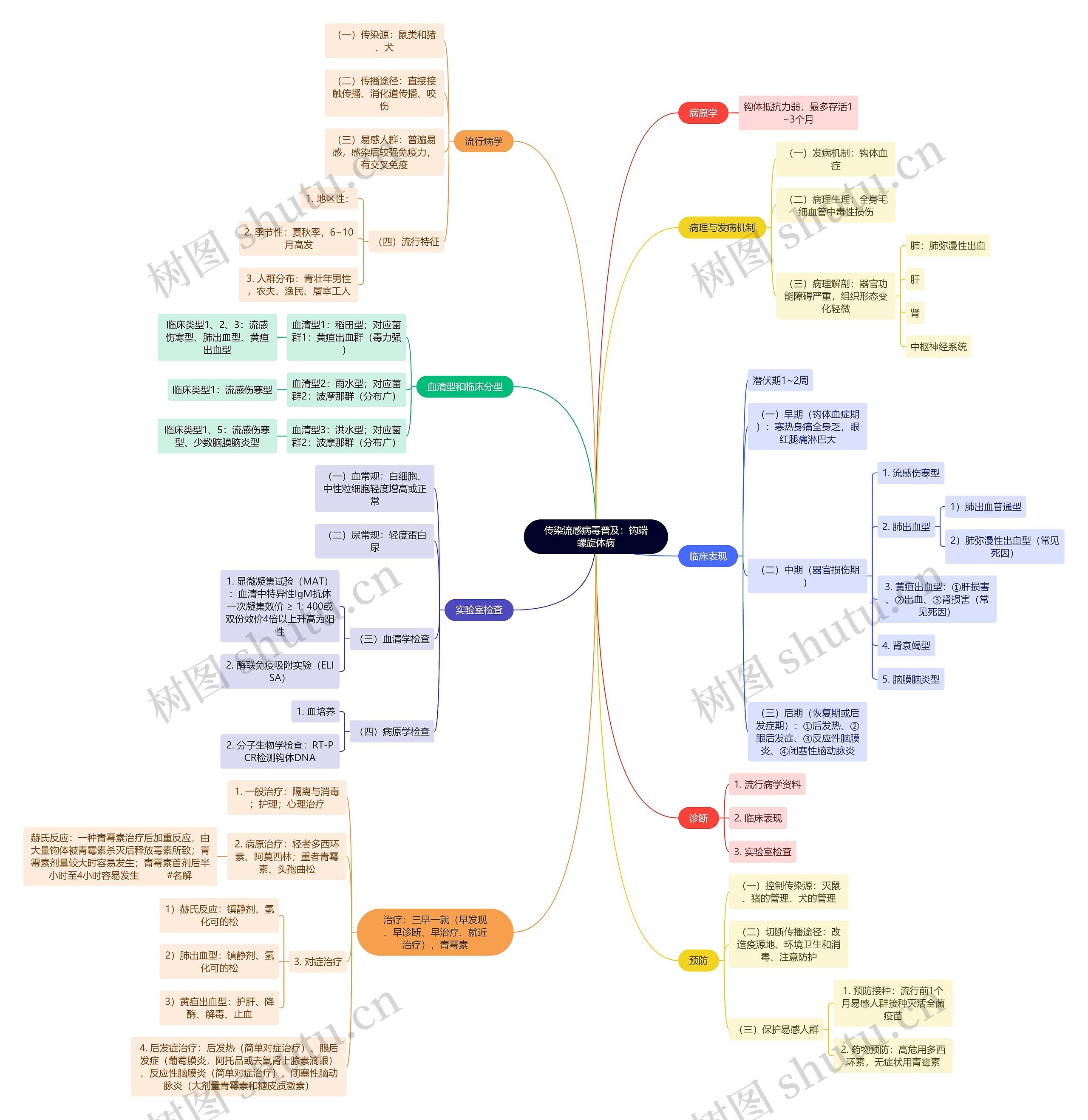 传染流感病毒普及：钩端螺旋体病思维导图