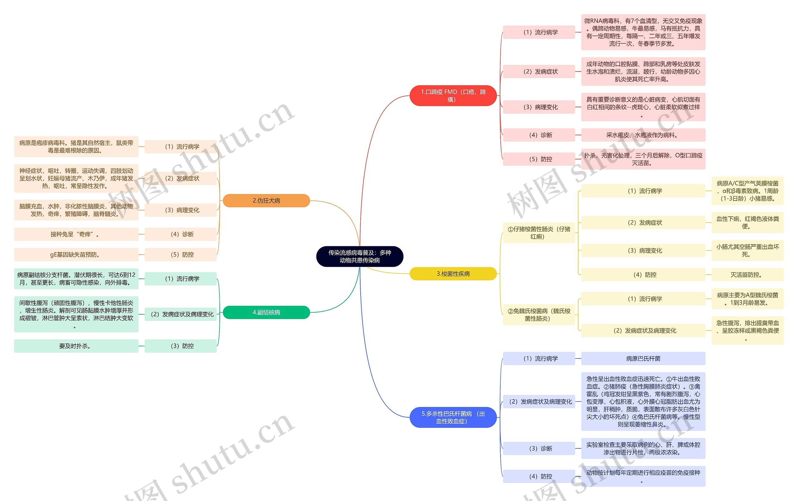 传染流感病毒普及:多种动物共患传染病思维导图高清图 传染流感病毒普及:多种动物共患传染病思维导图