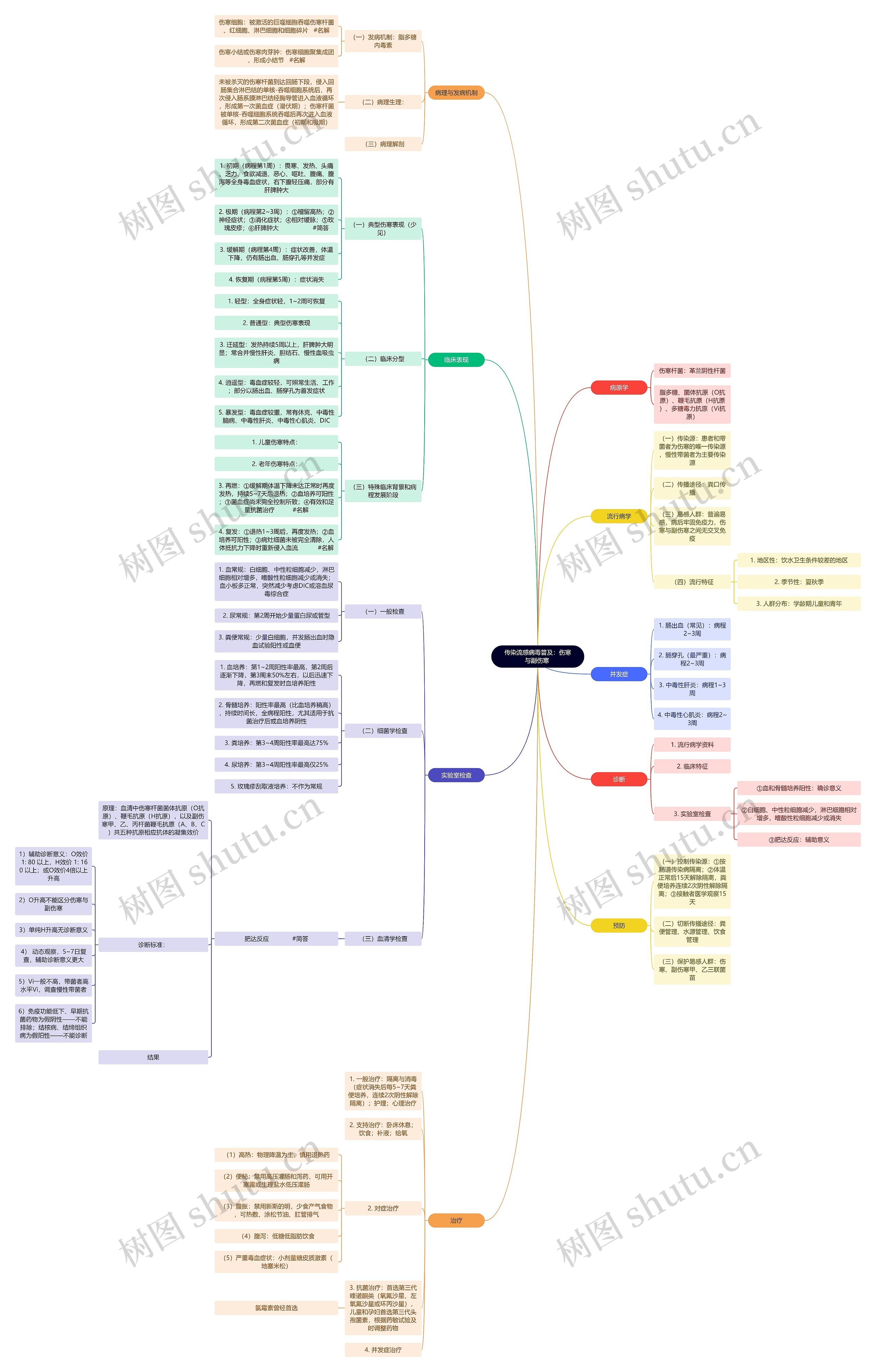 传染流感病毒普及：伤寒与副伤寒 思维导图