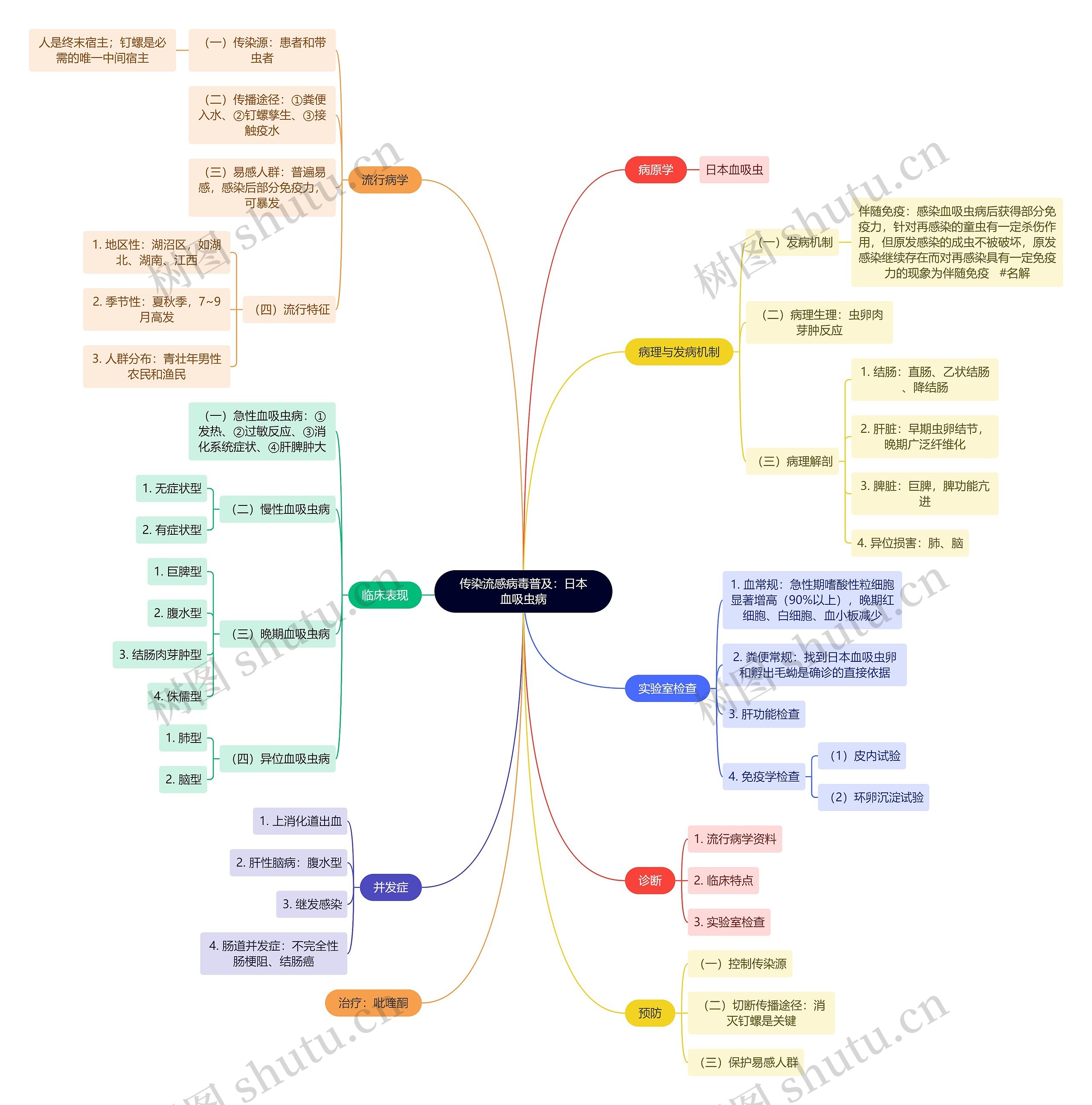 传染流感病毒普及:日本血吸虫病思维导图高清图 传染流感病毒普及:日本血吸虫病思维导图