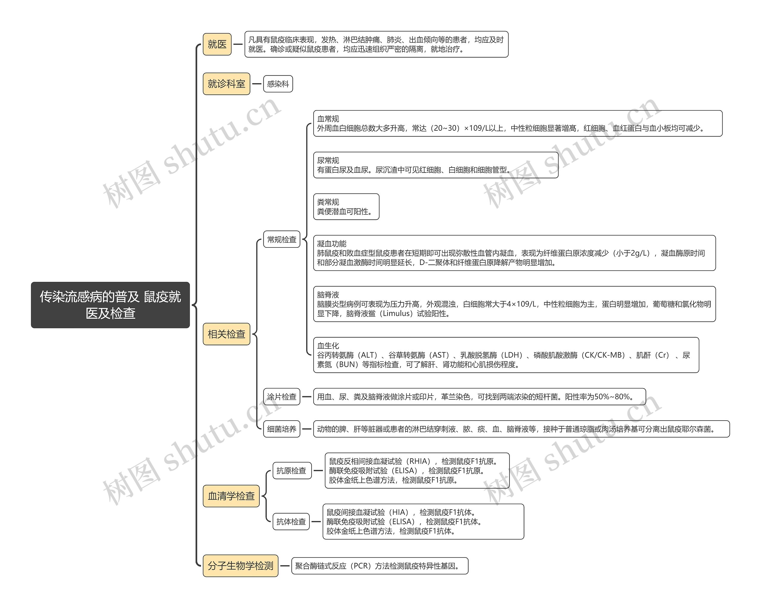 传染流感病的普及 鼠疫就医及检查