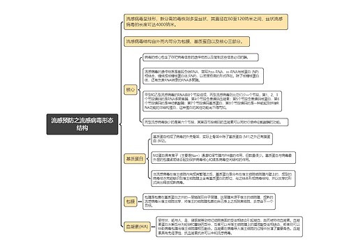 流感预防之流感病毒形态结构