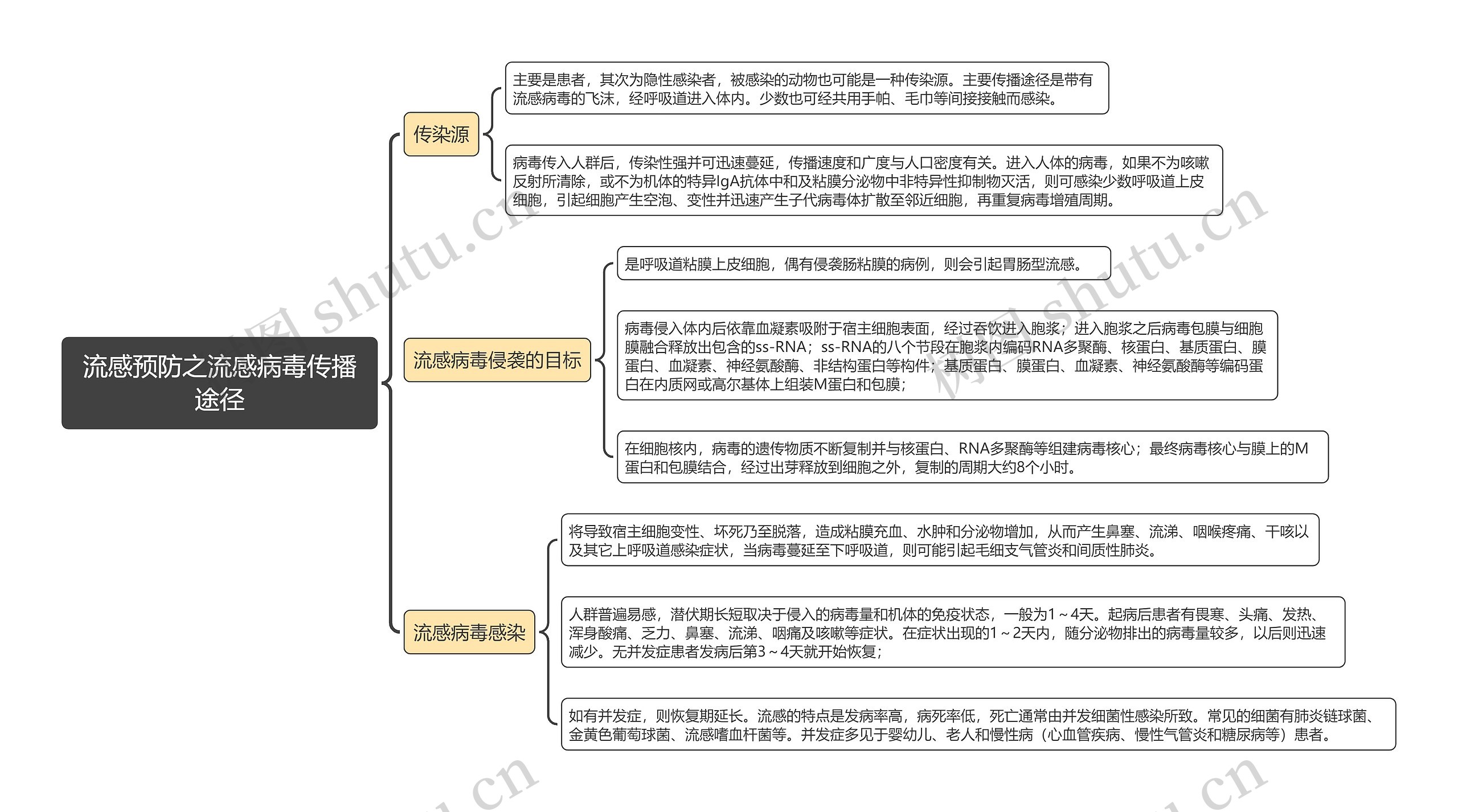 流感预防之流感病毒传播途径思维导图高清图 流感预防之流感病毒传播途径思维导图