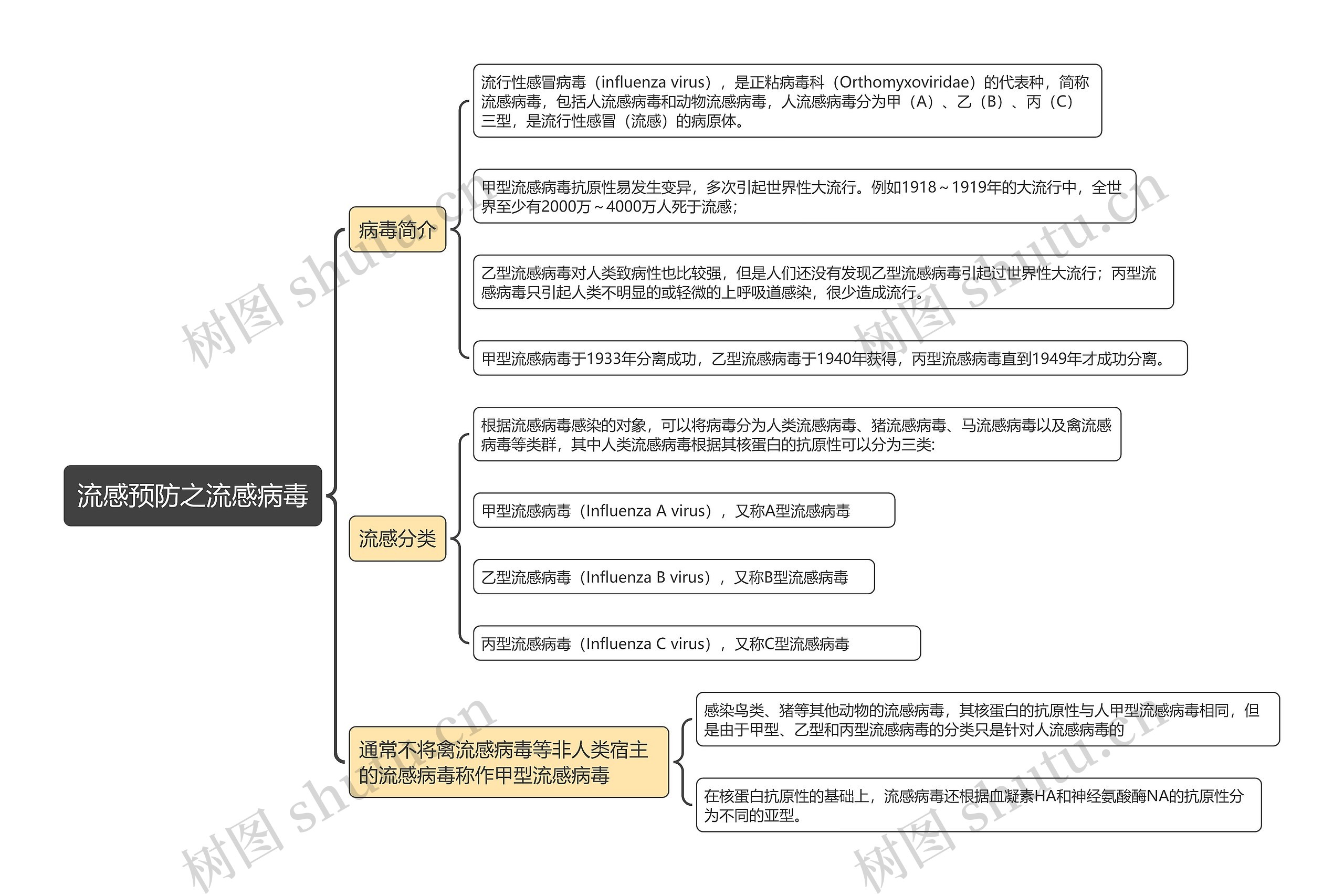 流感预防之流感病毒