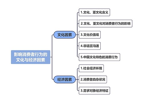 影响消费者行为的文化与经济因素