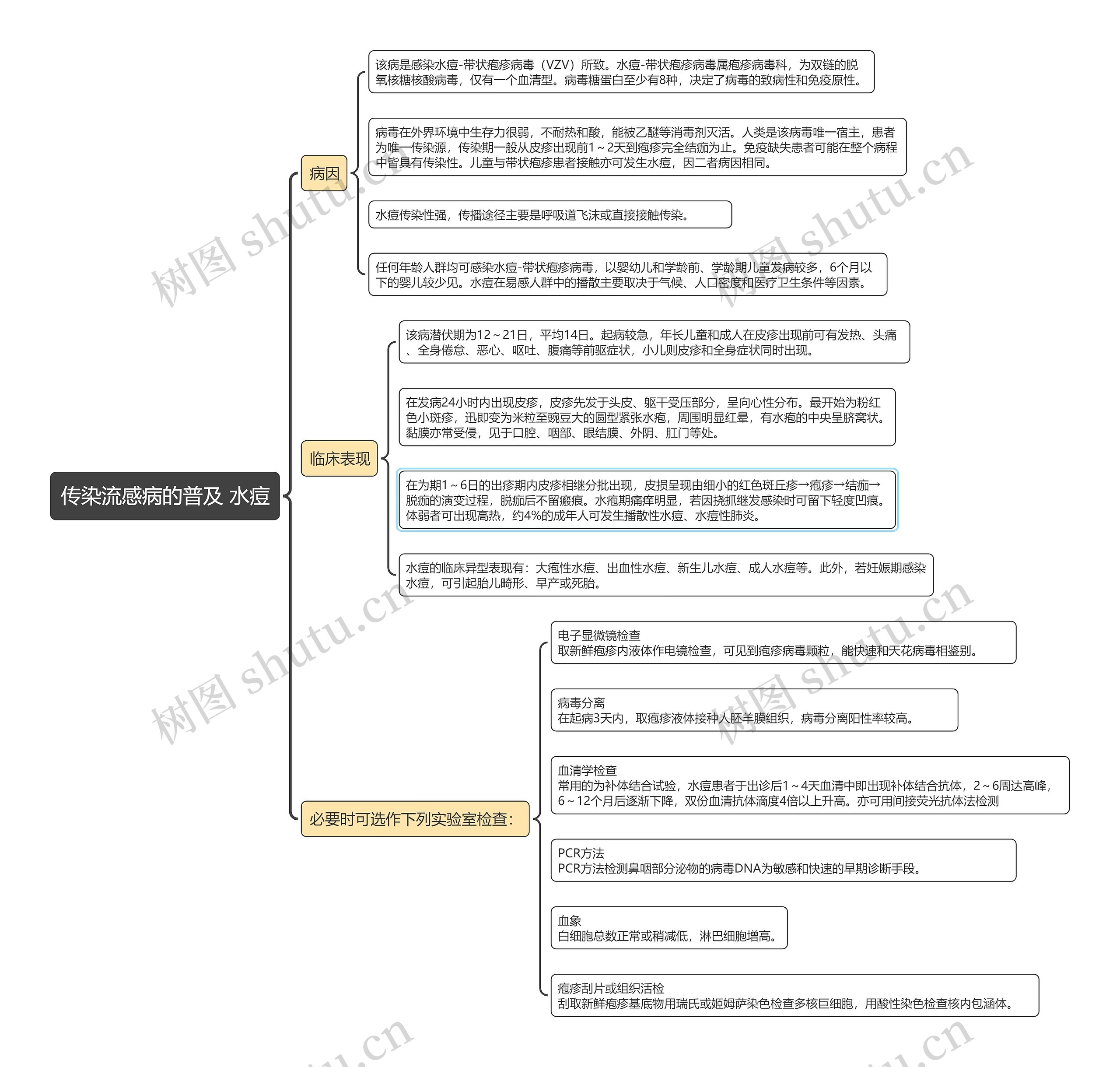 传染流感病的普及 水痘思维导图