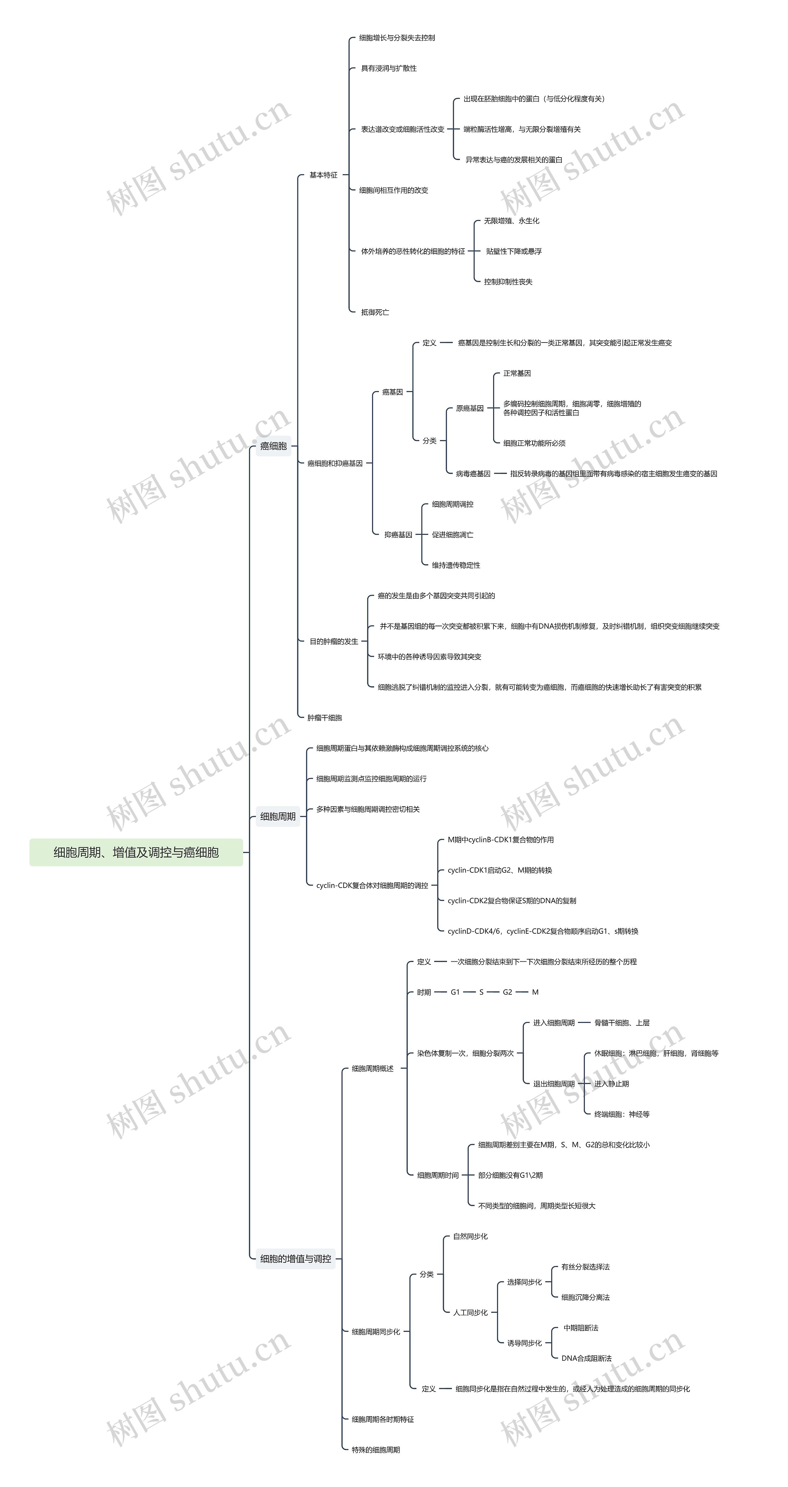 细胞周期、增值及调控与癌细胞