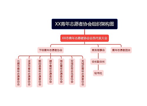 XX青年志愿者协会组织架构图