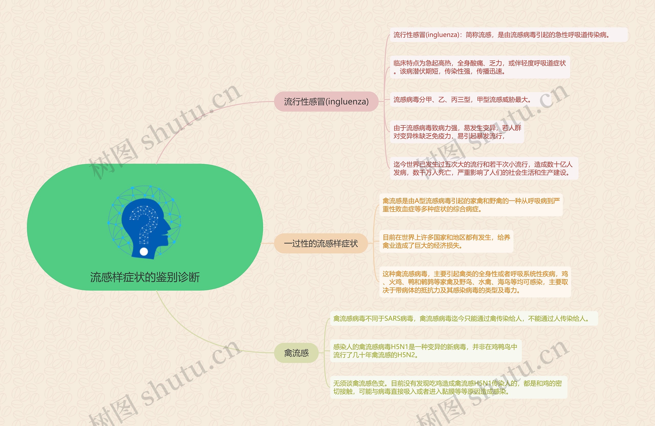 流感样症状的鉴别诊断的思维导图