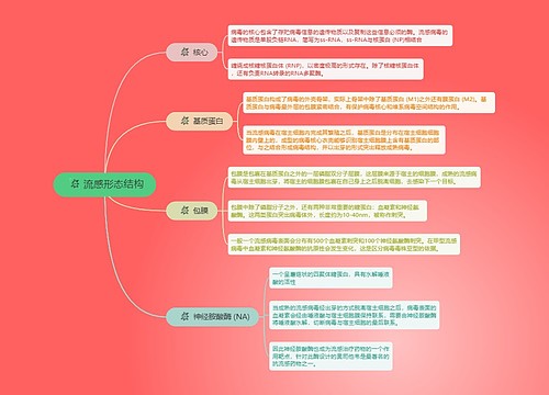 流感形态结构的思维导图