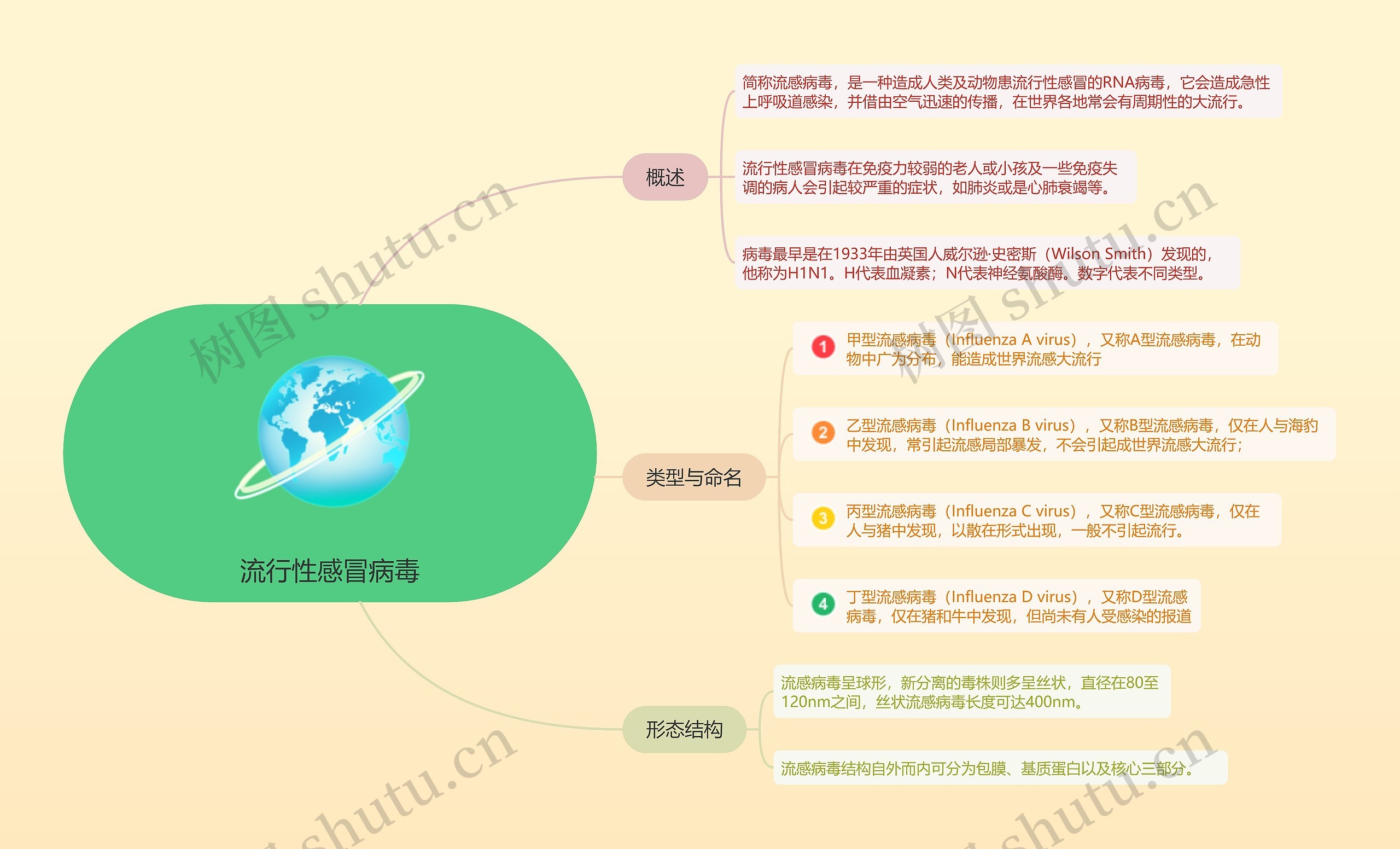 流行性感冒病毒的思维导图