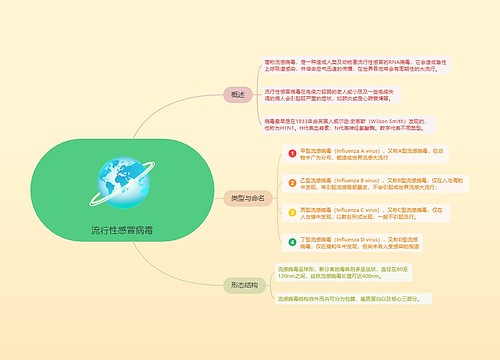 流行性感冒病毒的思维导图