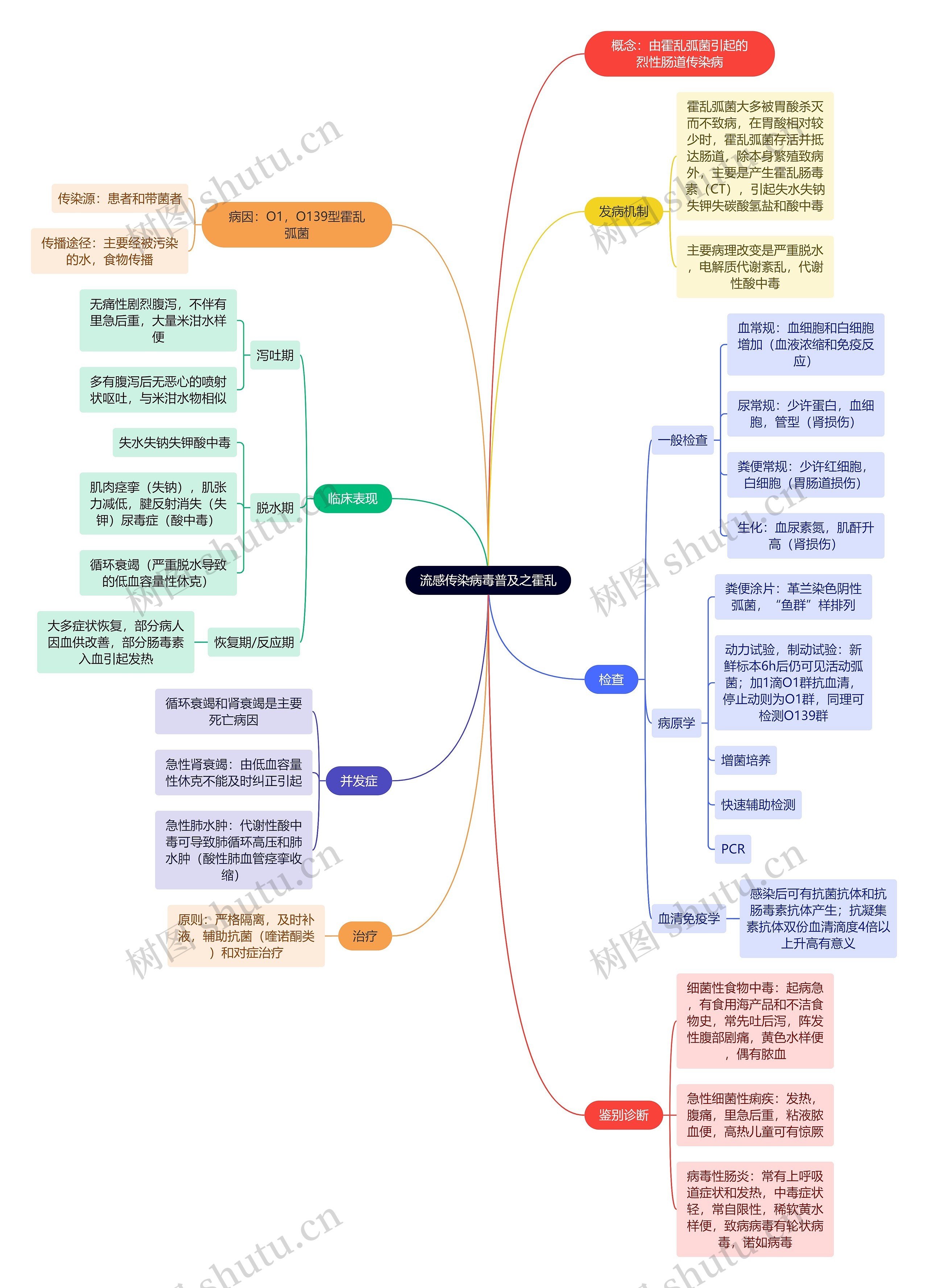 流感传染病毒普及之霍乱思维导图