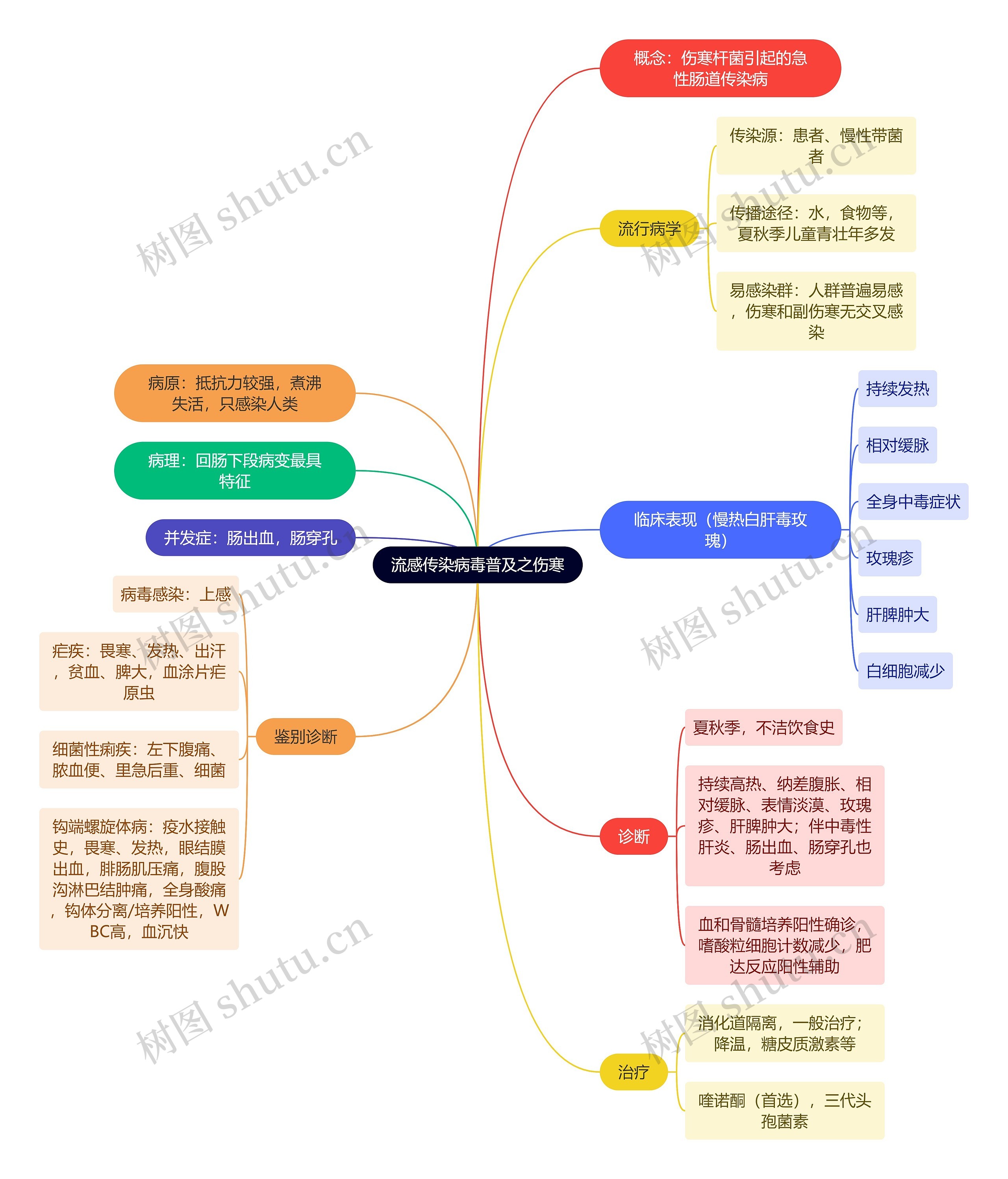 流感传染病毒普及之伤寒思维导图