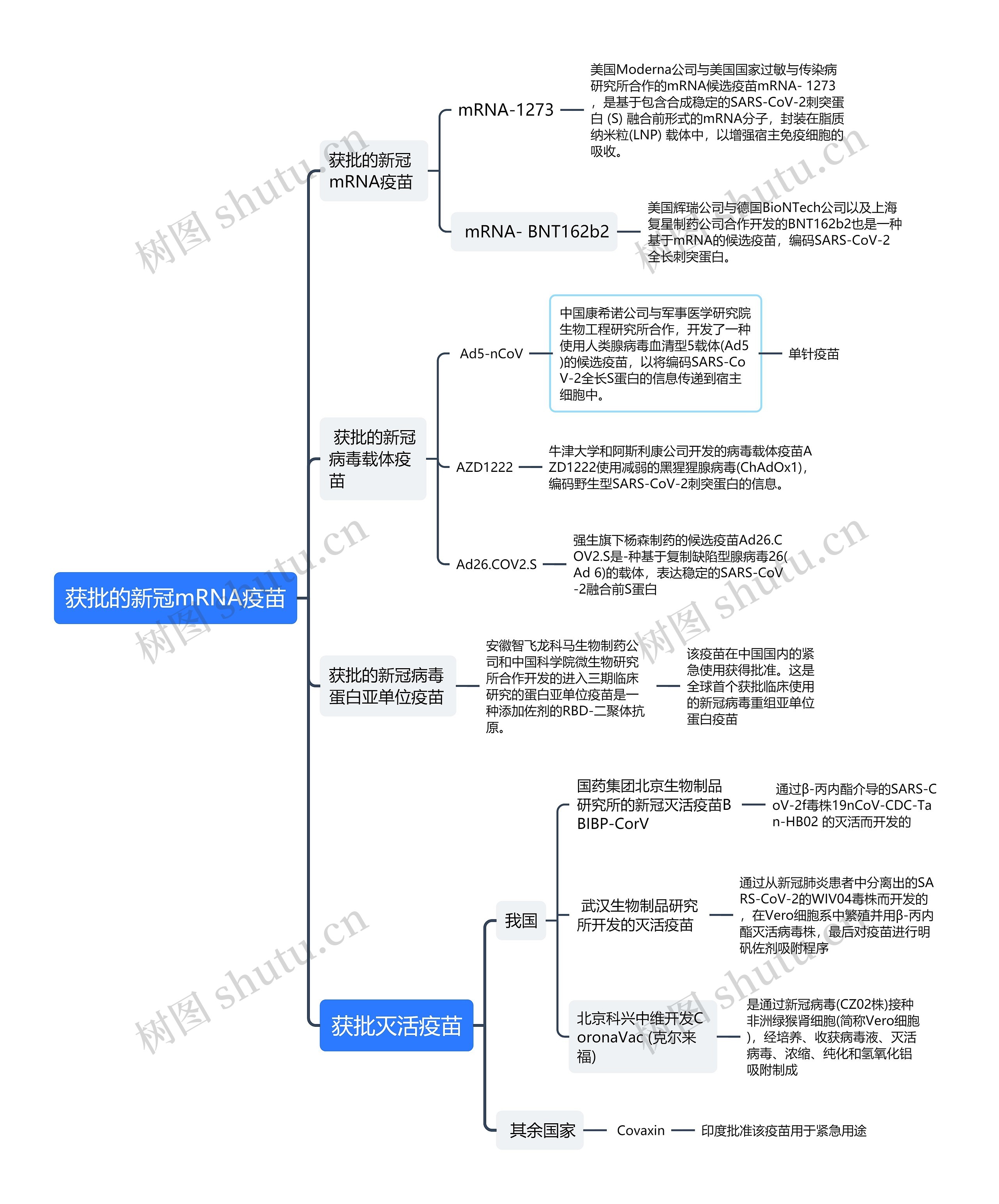 获批的新冠mRNA疫苗思维导图