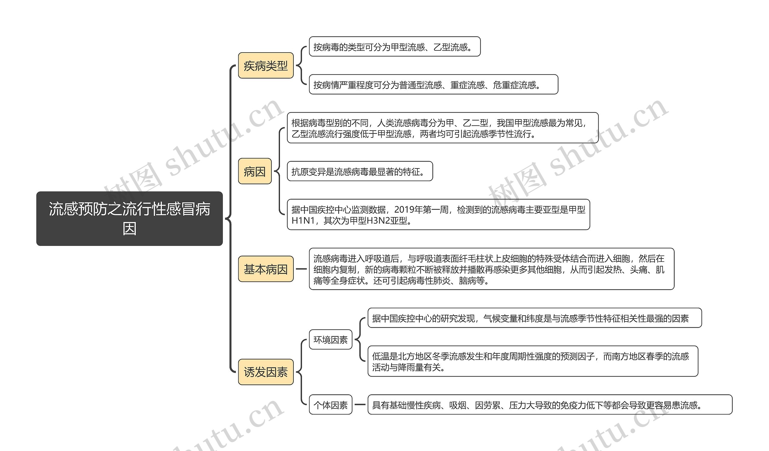 流感预防之流行性感冒病因思维导图