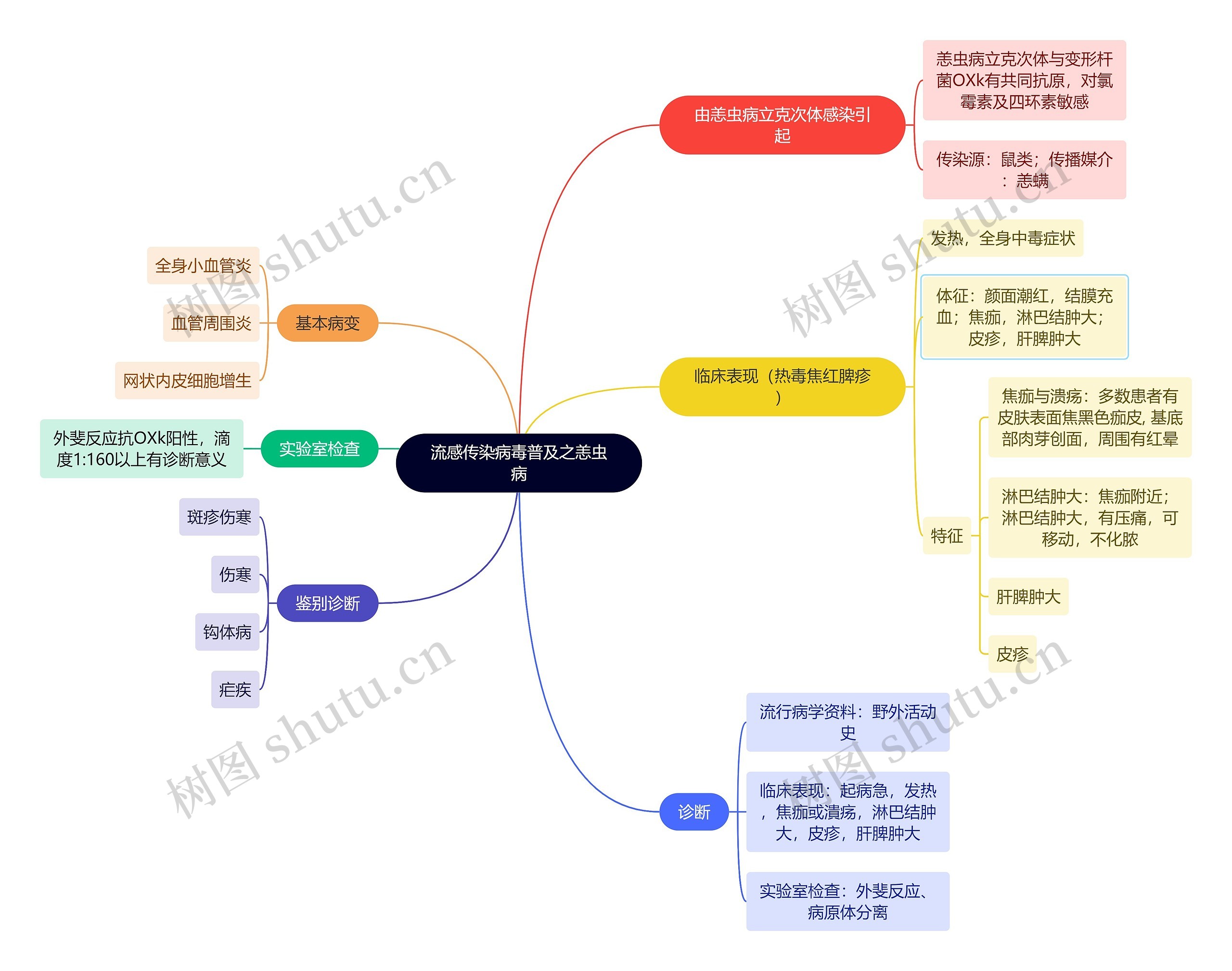 流感传染病毒普及之恙虫病