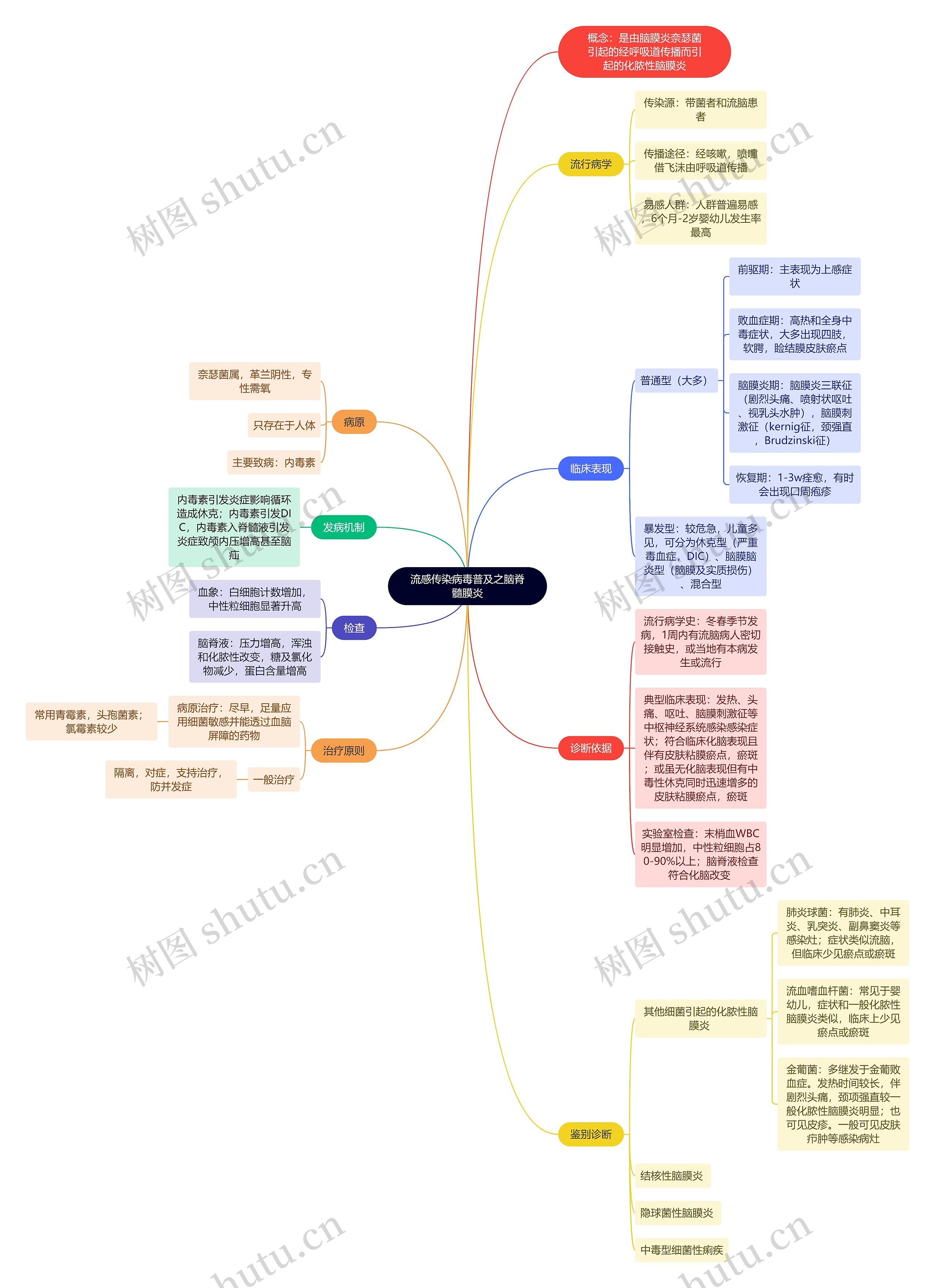 流感传染病毒普及之脑脊髓膜炎思维导图