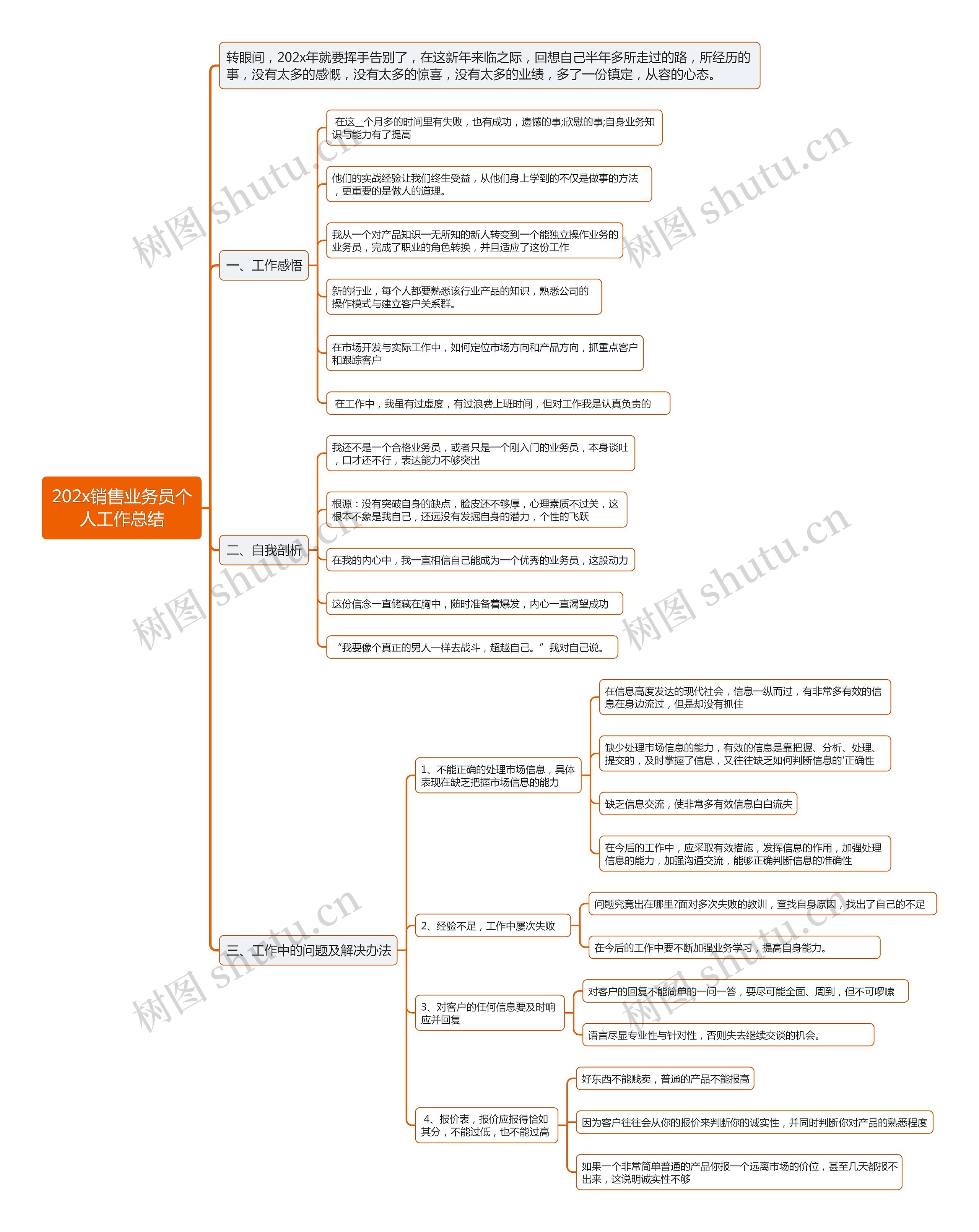 202x销售业务员个人工作总结思维导图