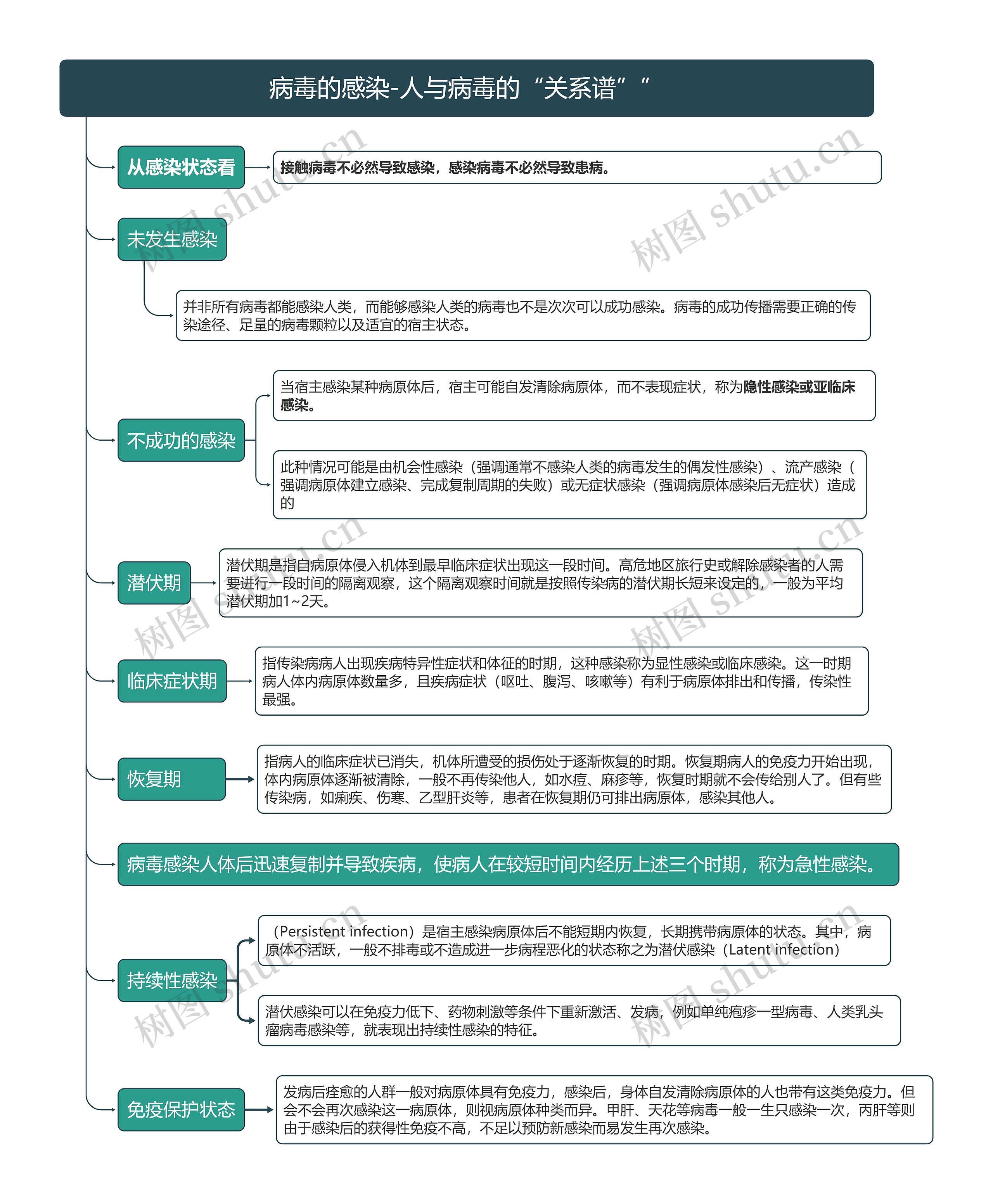 病毒的感染-人与病毒的“关系谱”竖屏