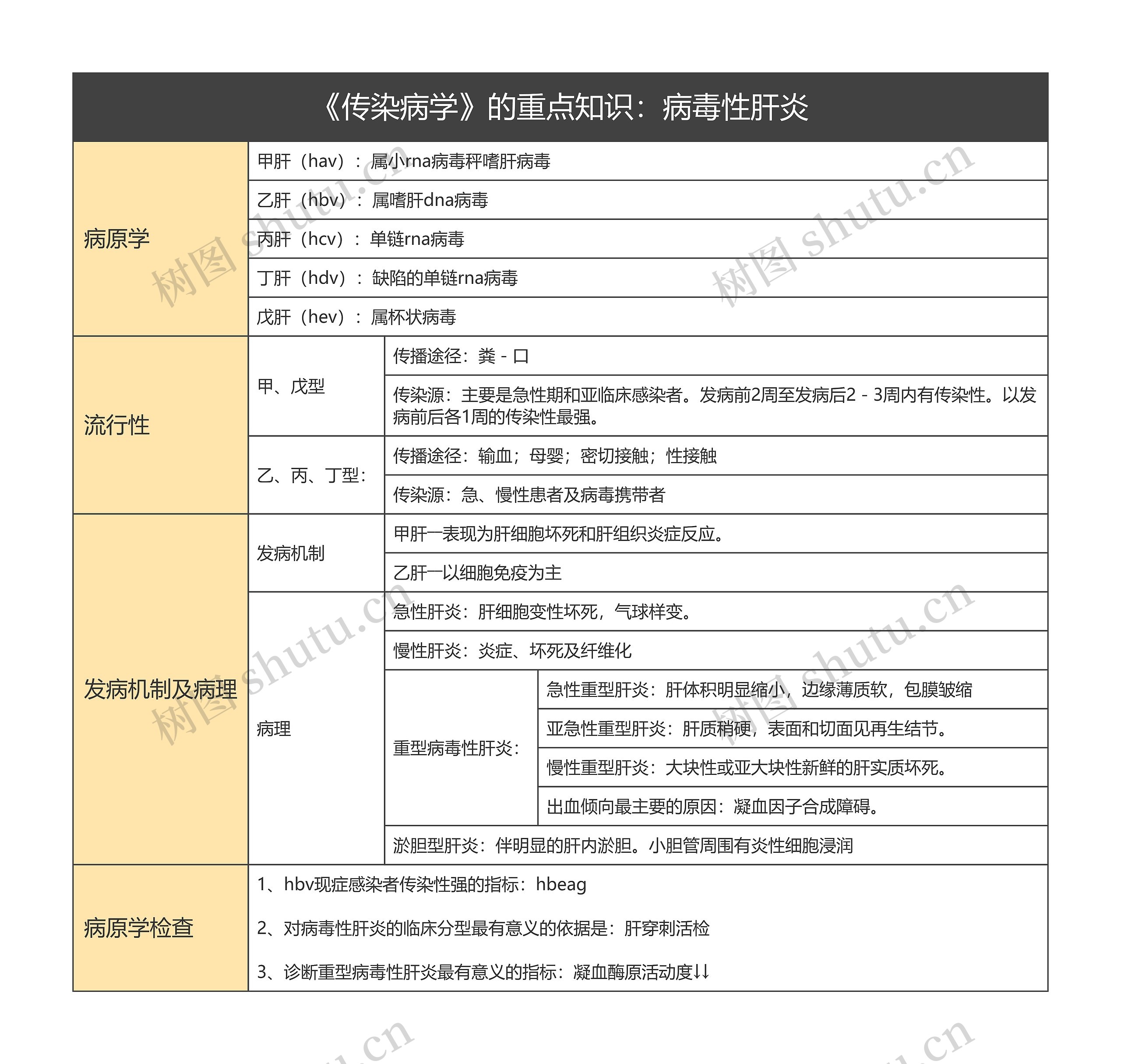 流行性传染病：病毒性肝炎