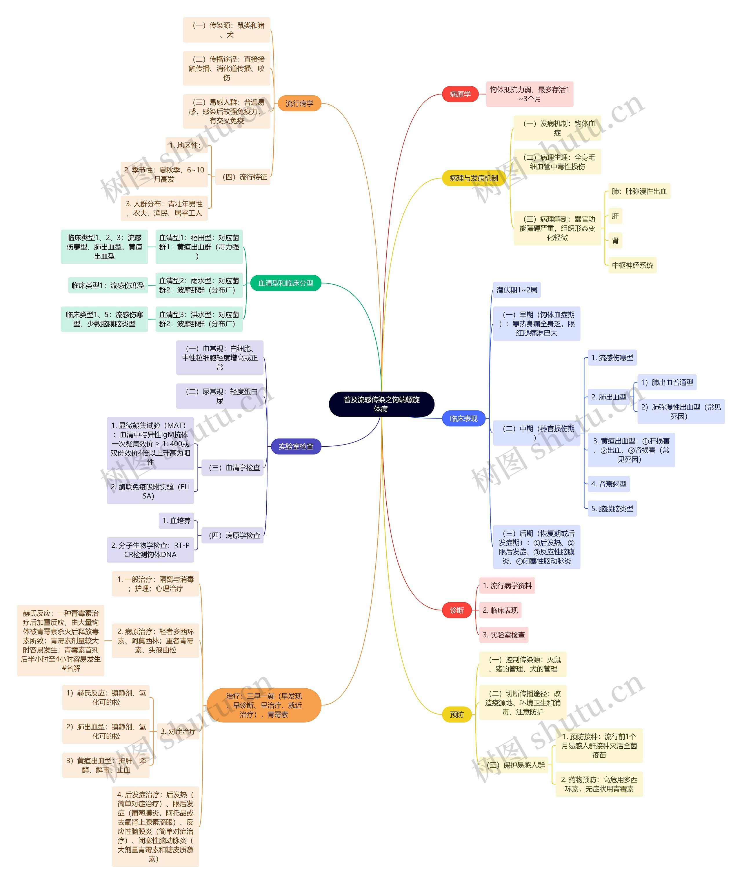 普及流感传染之钩端螺旋体病 思维导图