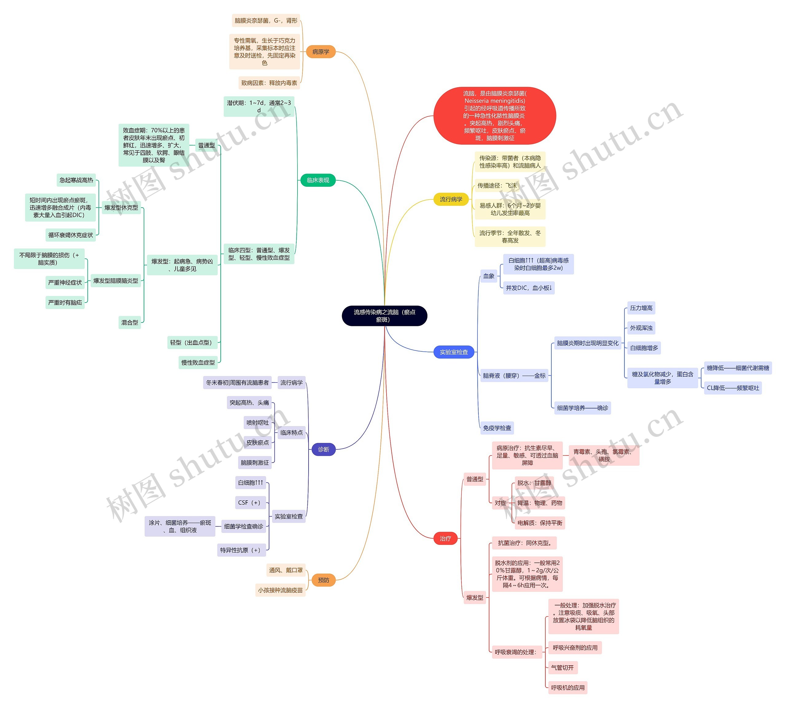 流感传染病之流脑(瘀点瘀斑)思维导图高清图 流感传染病之流脑(瘀点瘀斑)思维导图