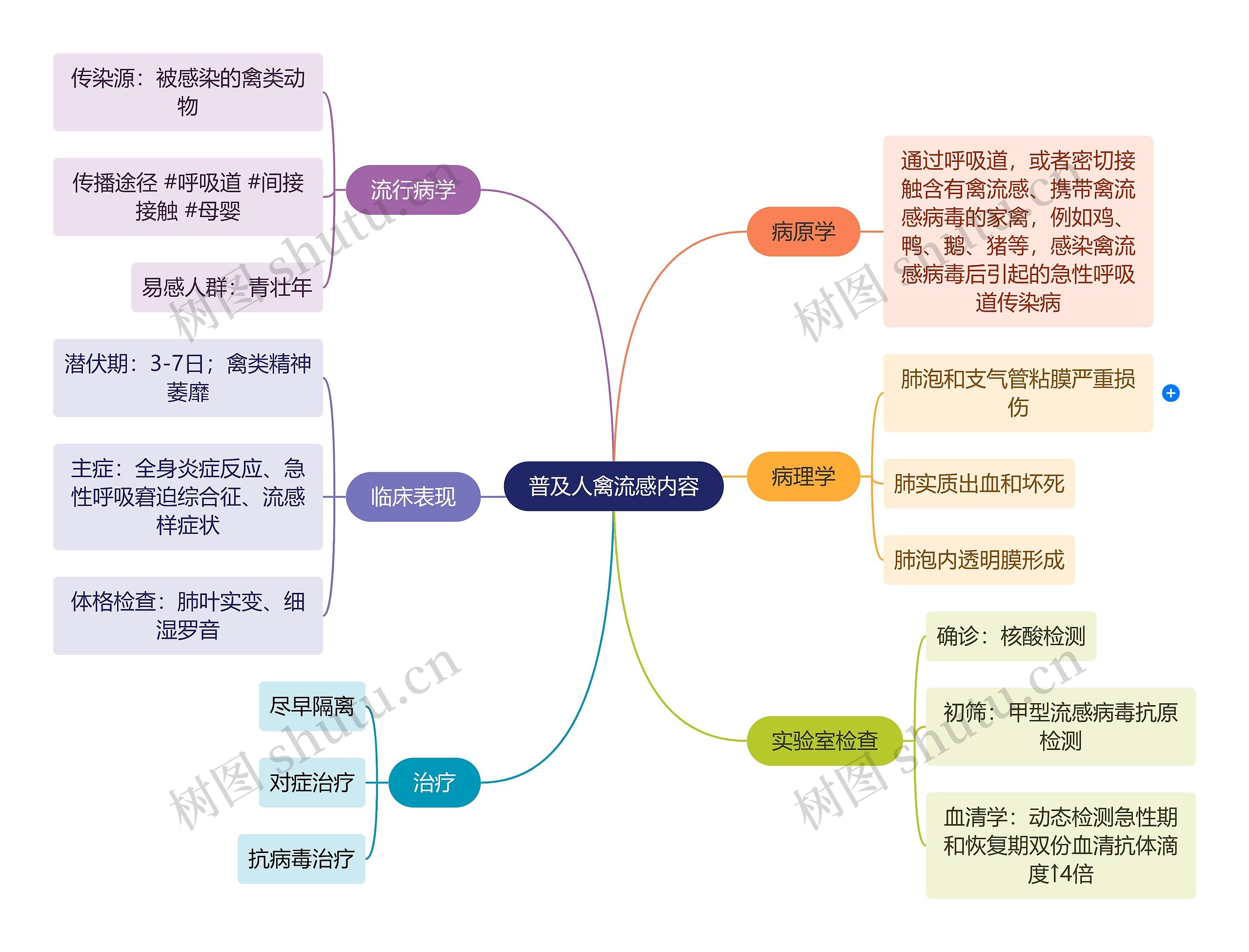 普及人禽流感内容思维导图