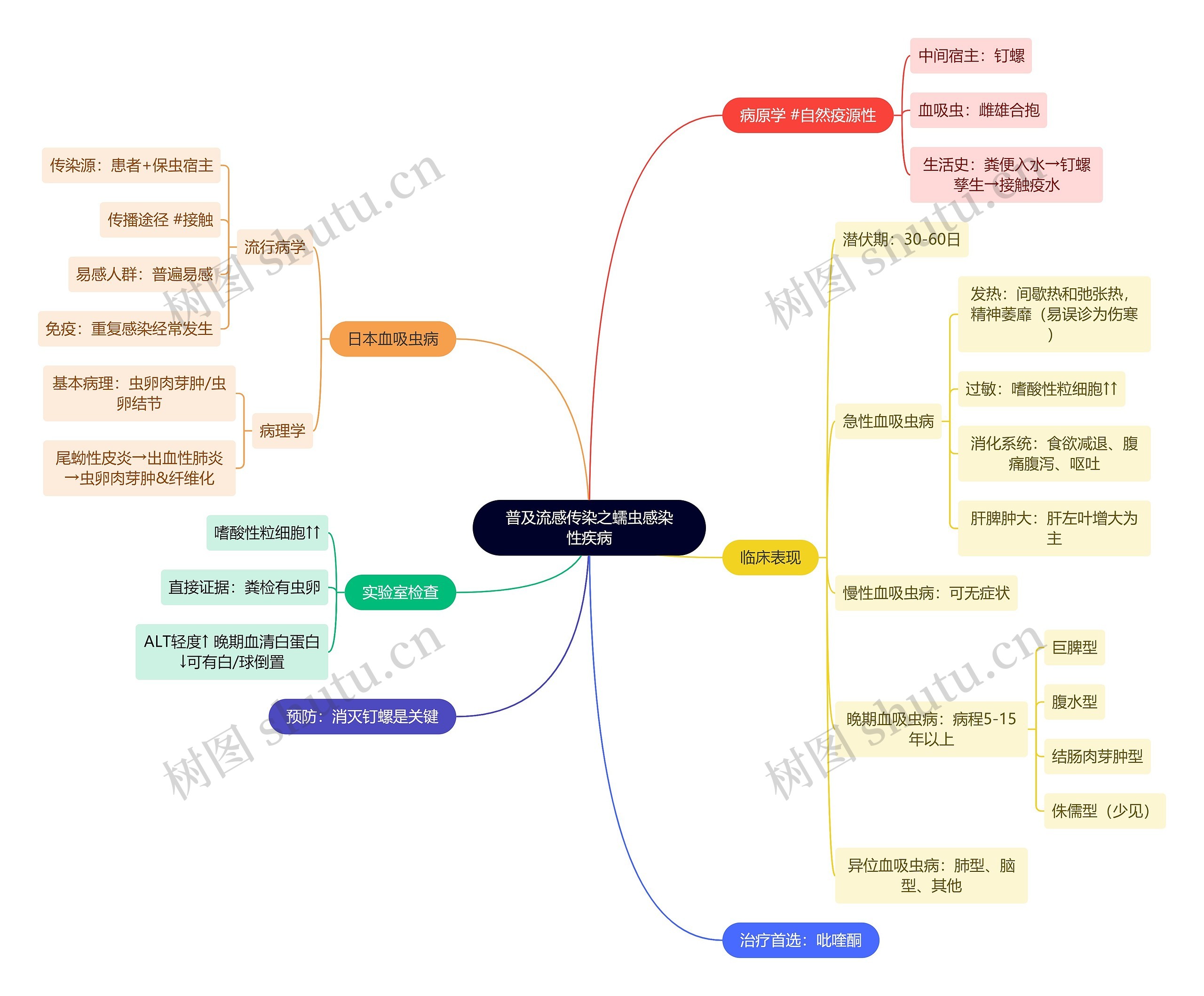 普及流感传染之蠕虫感染性疾病思维导图