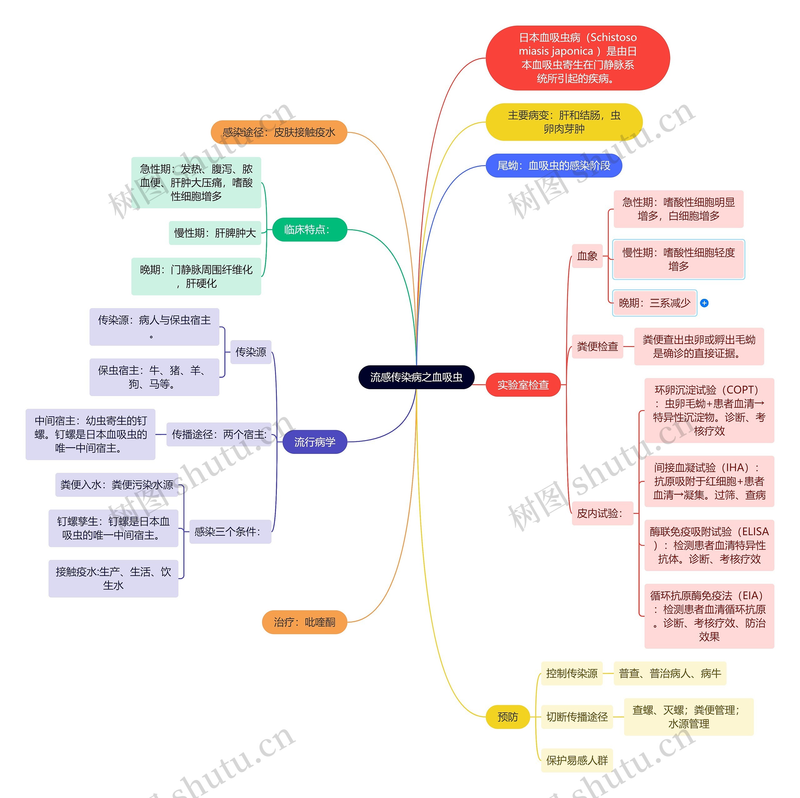 流感传染病之血吸虫思维导图