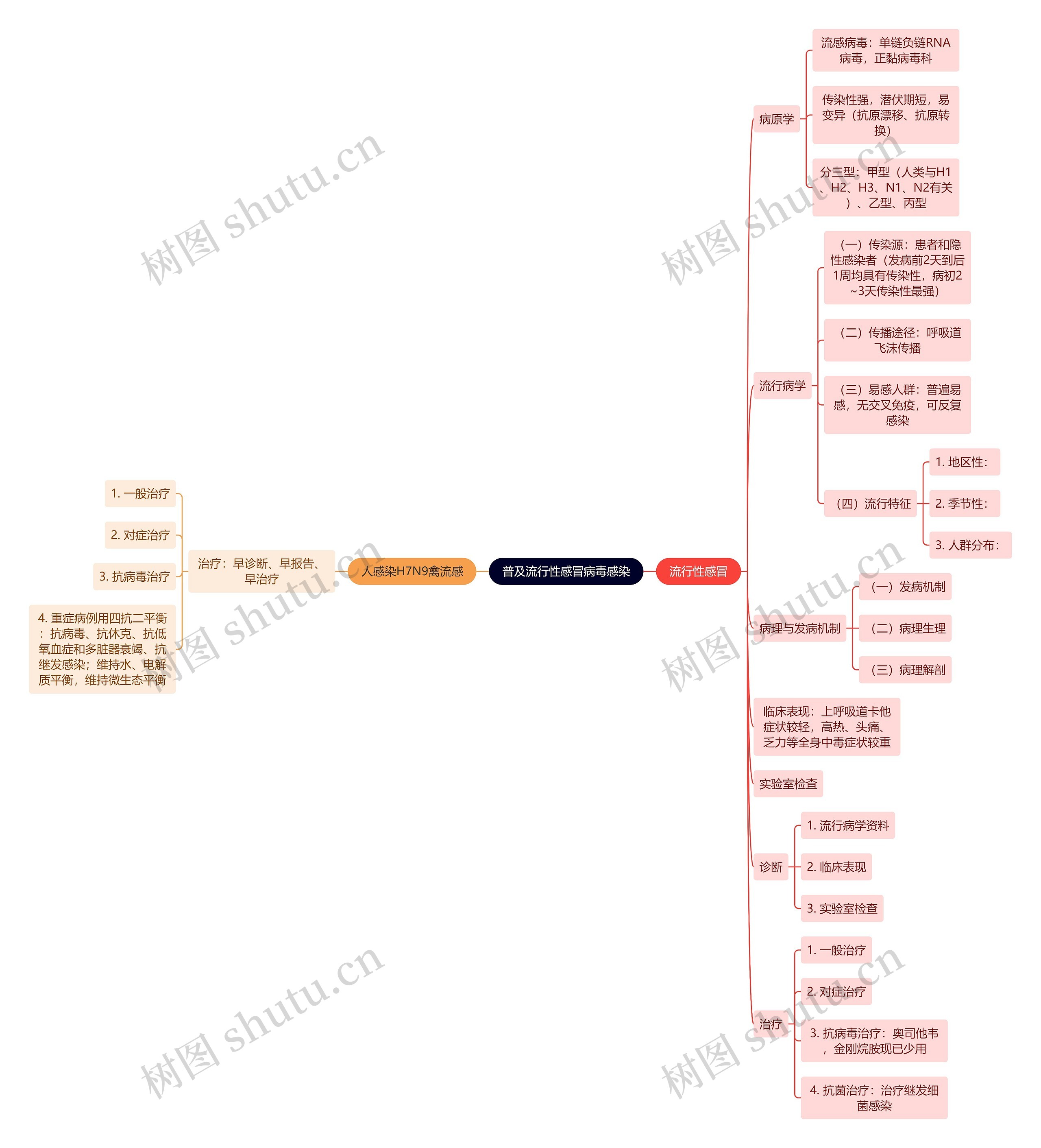 普及流行性感冒病毒感染思维导图