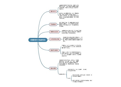 直播间的小流量密码思维导图
