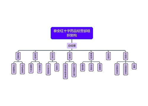 泰安红十字药品经营部组织架构