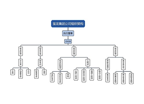 宝龙集团公司组织架构