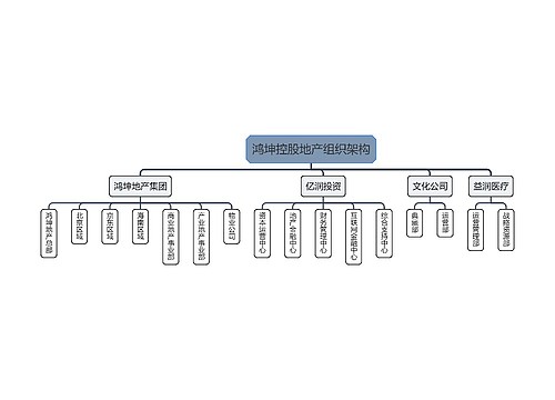 鸿坤控股地产组织架构预览图